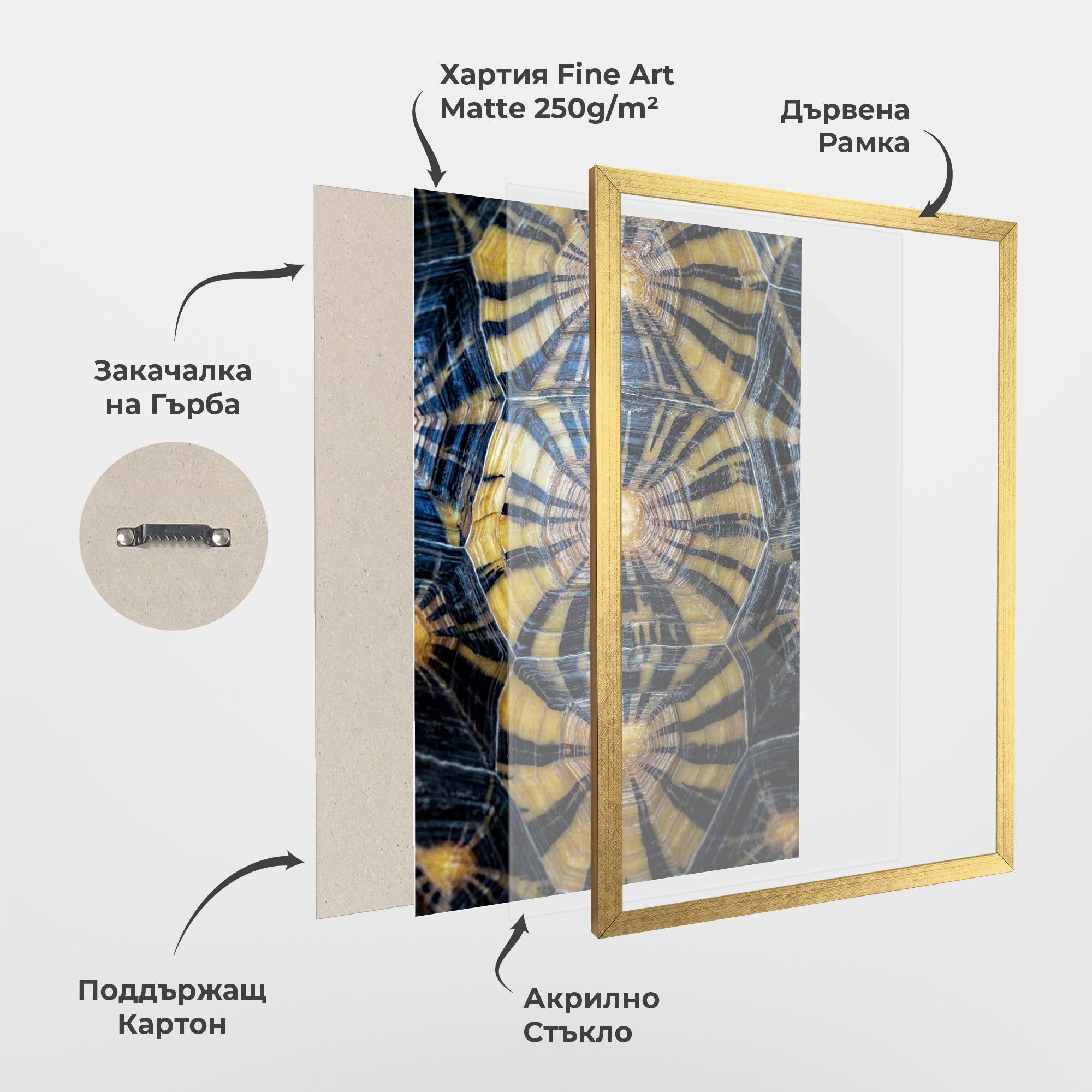 Рамкиран постер Turtle Shell mockup 1