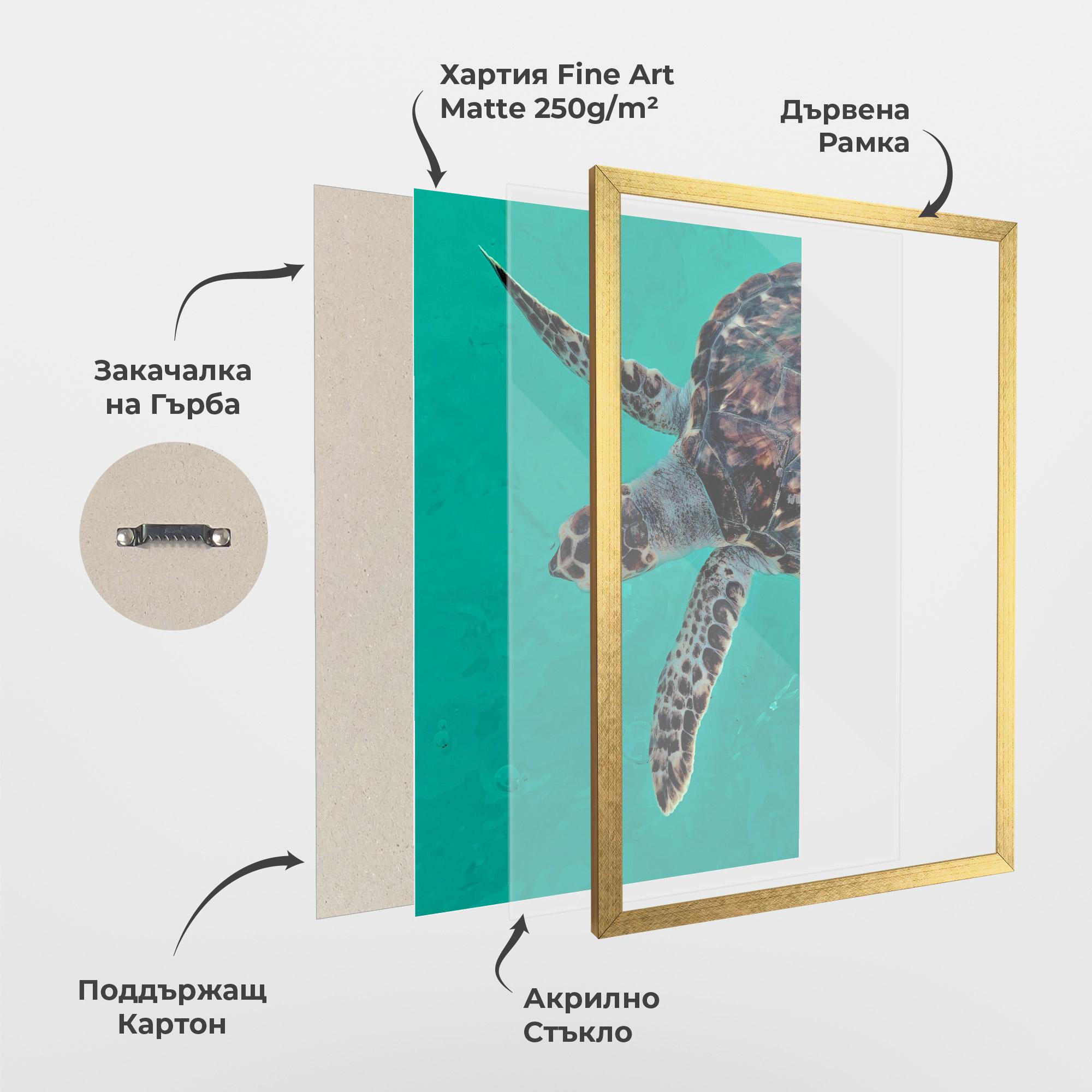 Рамкиран постер Turtle Sweeming mockup 1