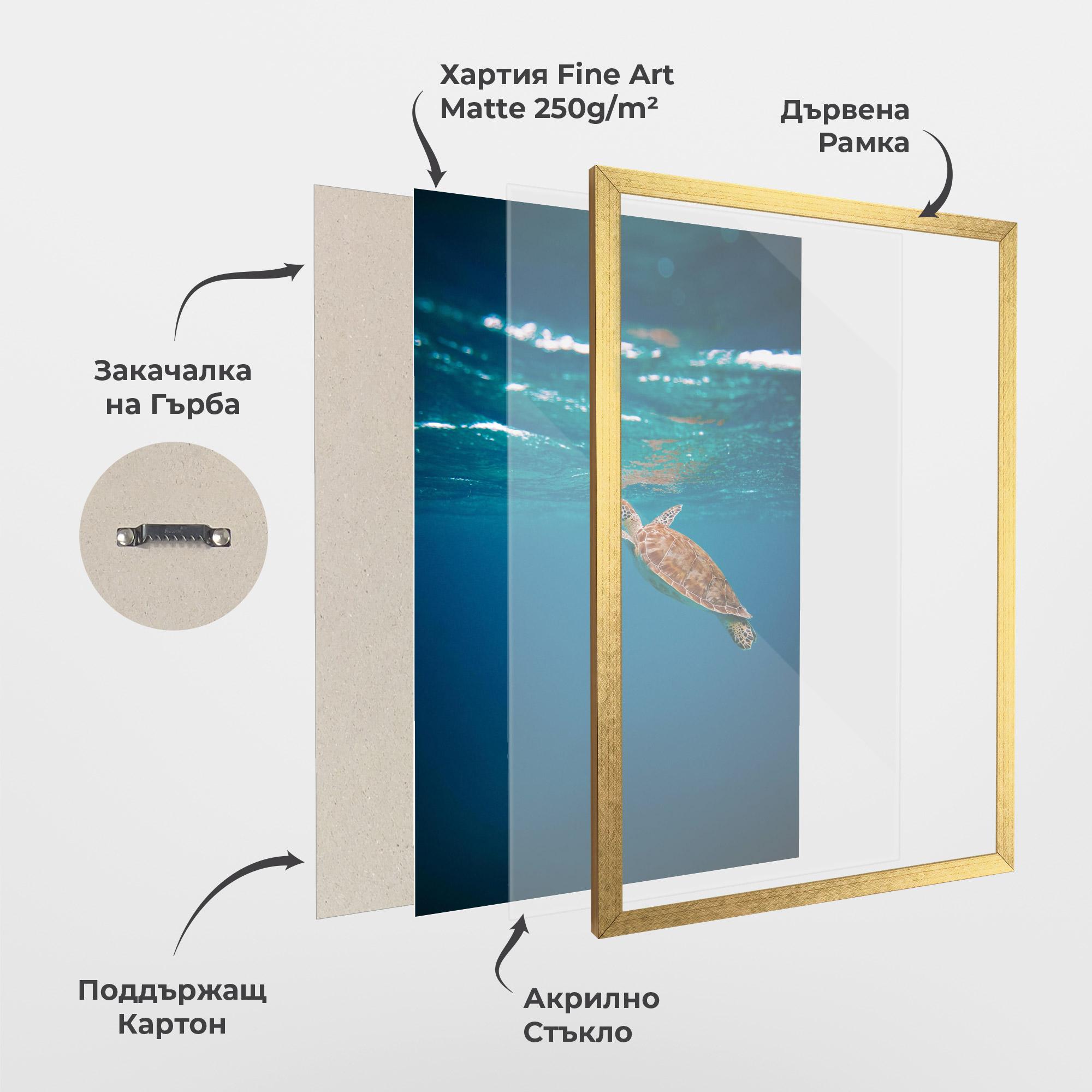 Рамкиран постер Water Turtle mockup 1