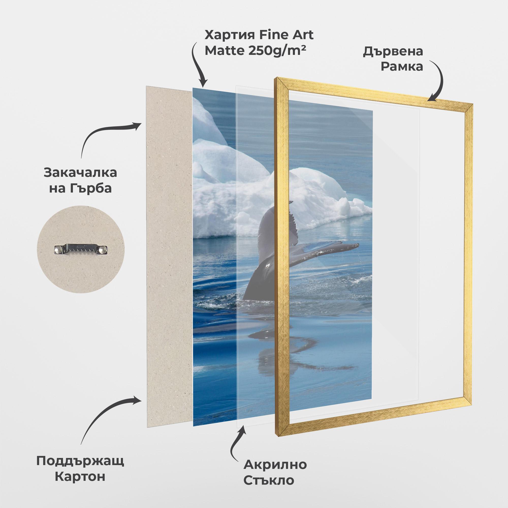 Рамкиран постер Whale Tail mockup 1