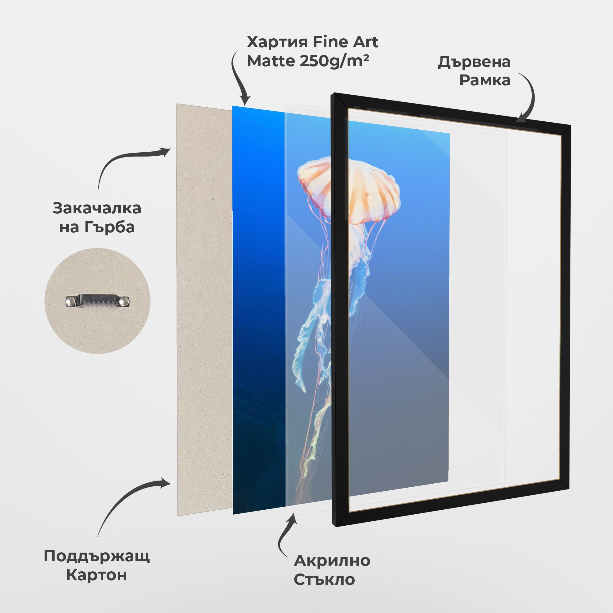 Cream Jellyfish mockup 1