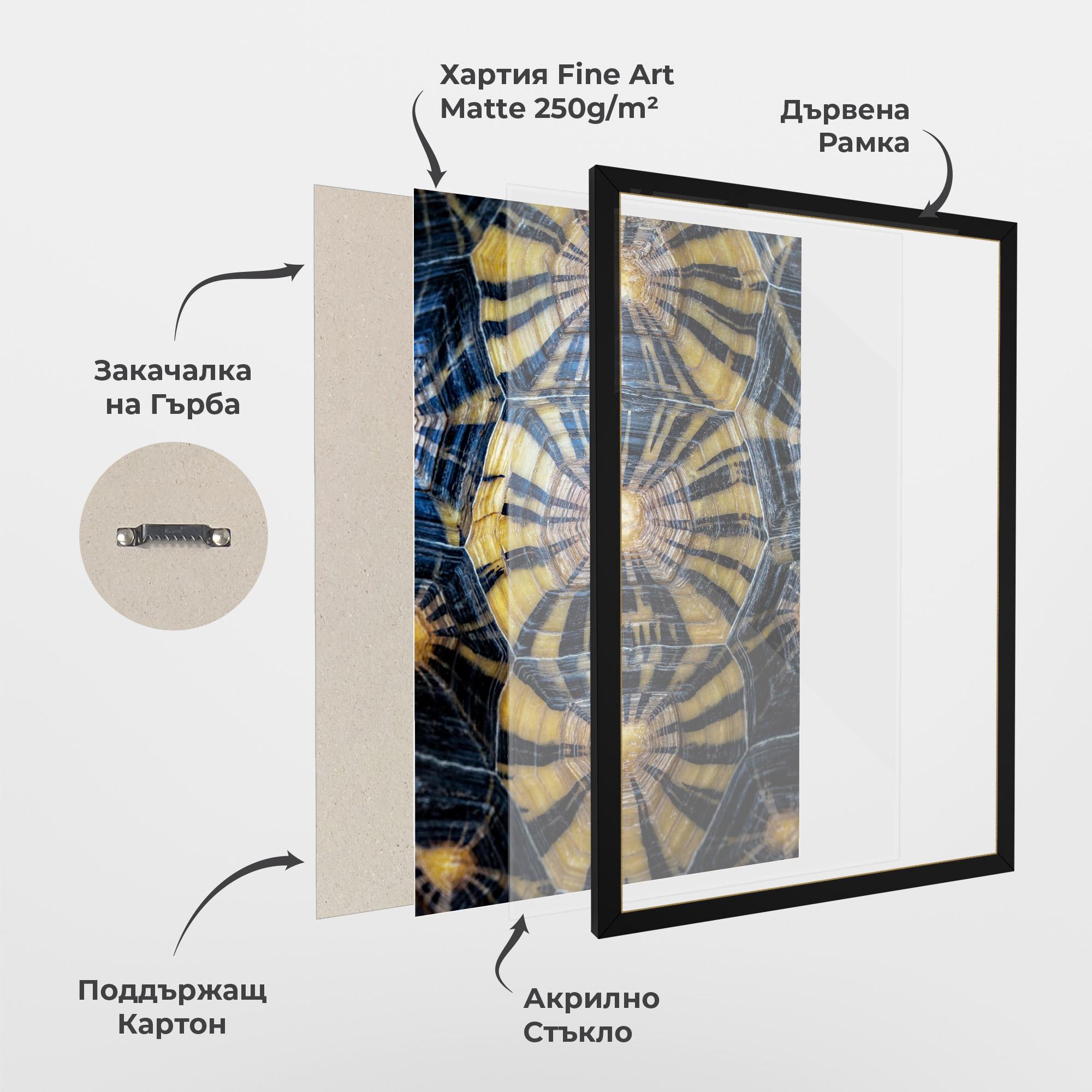 Рамкиран постер Turtle Shell mockup 1