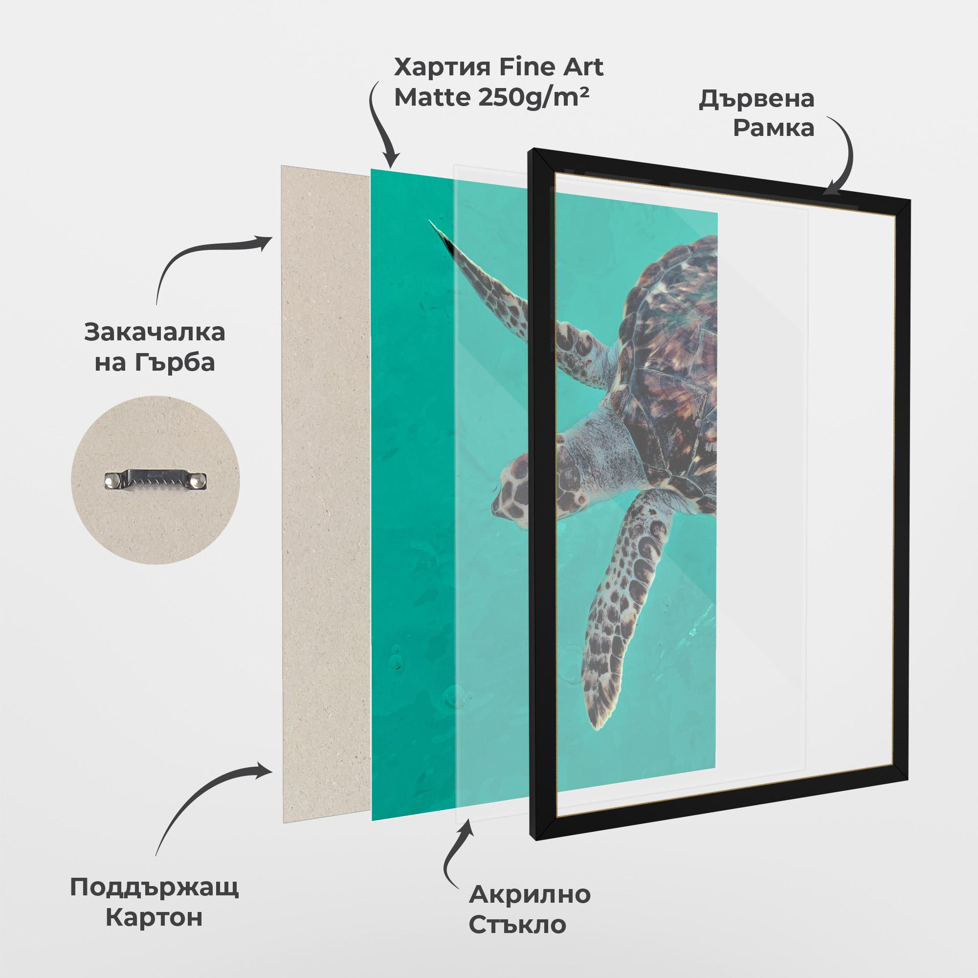 Рамкиран постер Turtle Sweeming mockup 1