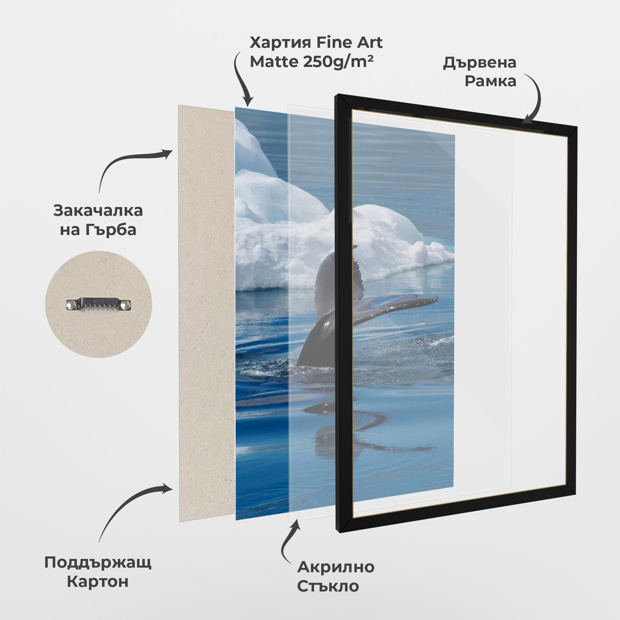 Рамкиран постер Whale Tail mockup 1