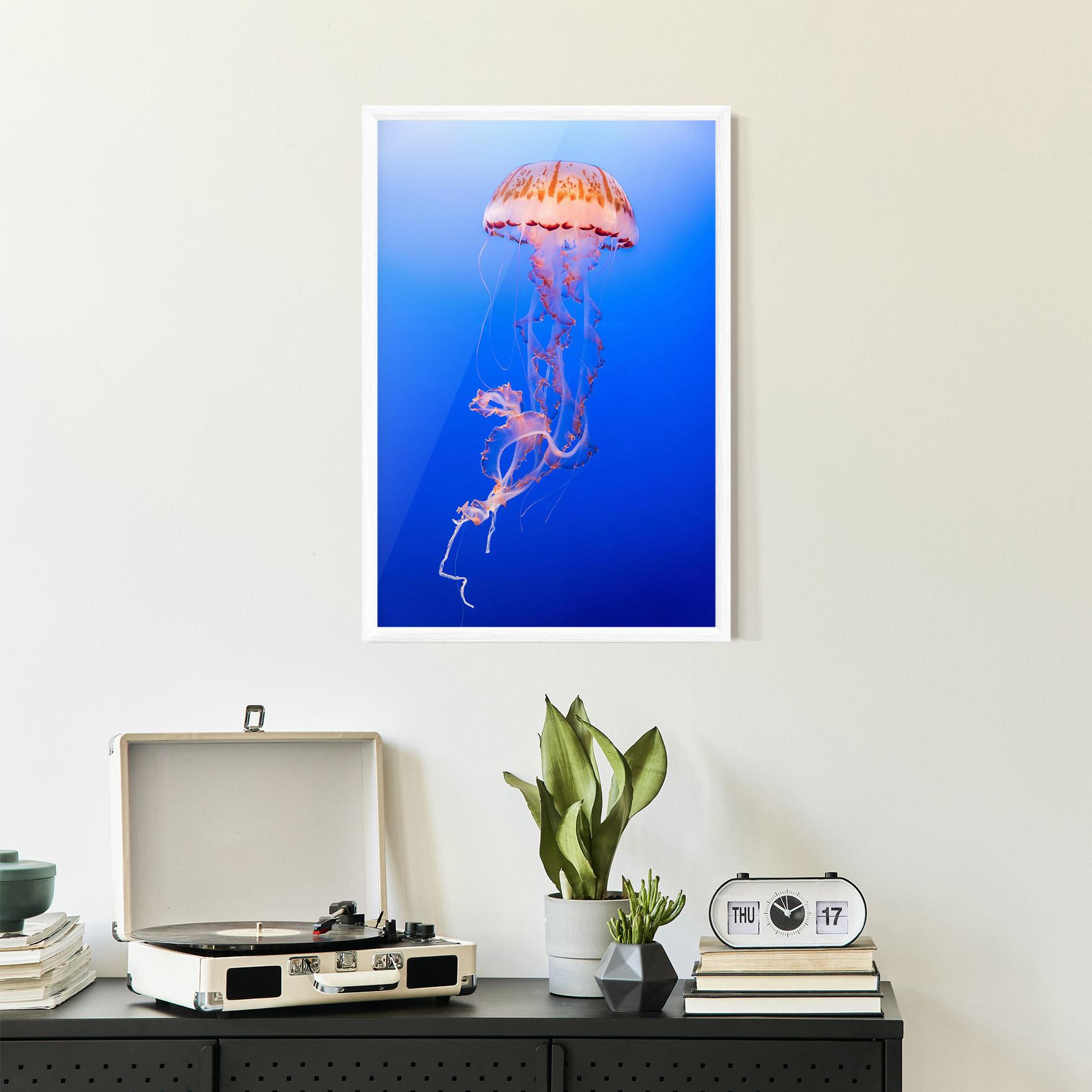Рамкиран постер Pretty White Jellyfish mockup 2