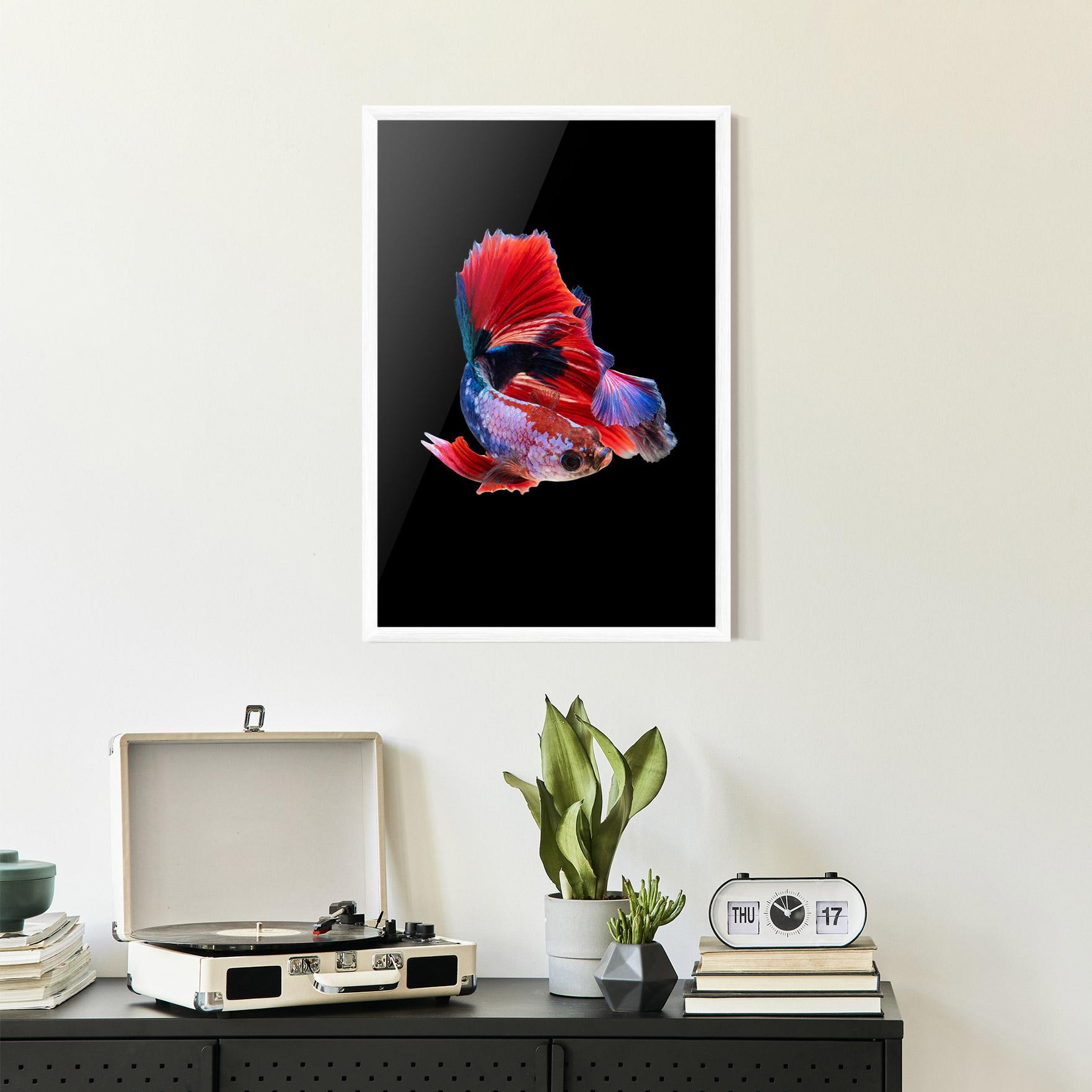 Рамкиран постер Red Black Betta mockup 2