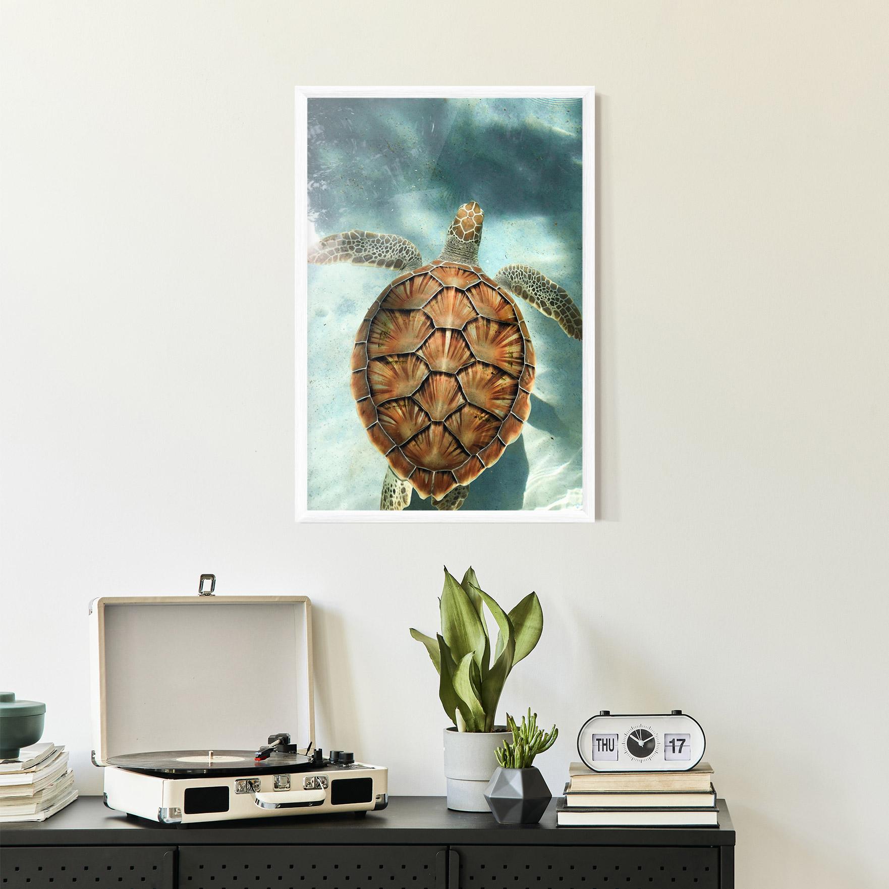 Рамкиран постер Water Tortoise mockup 2