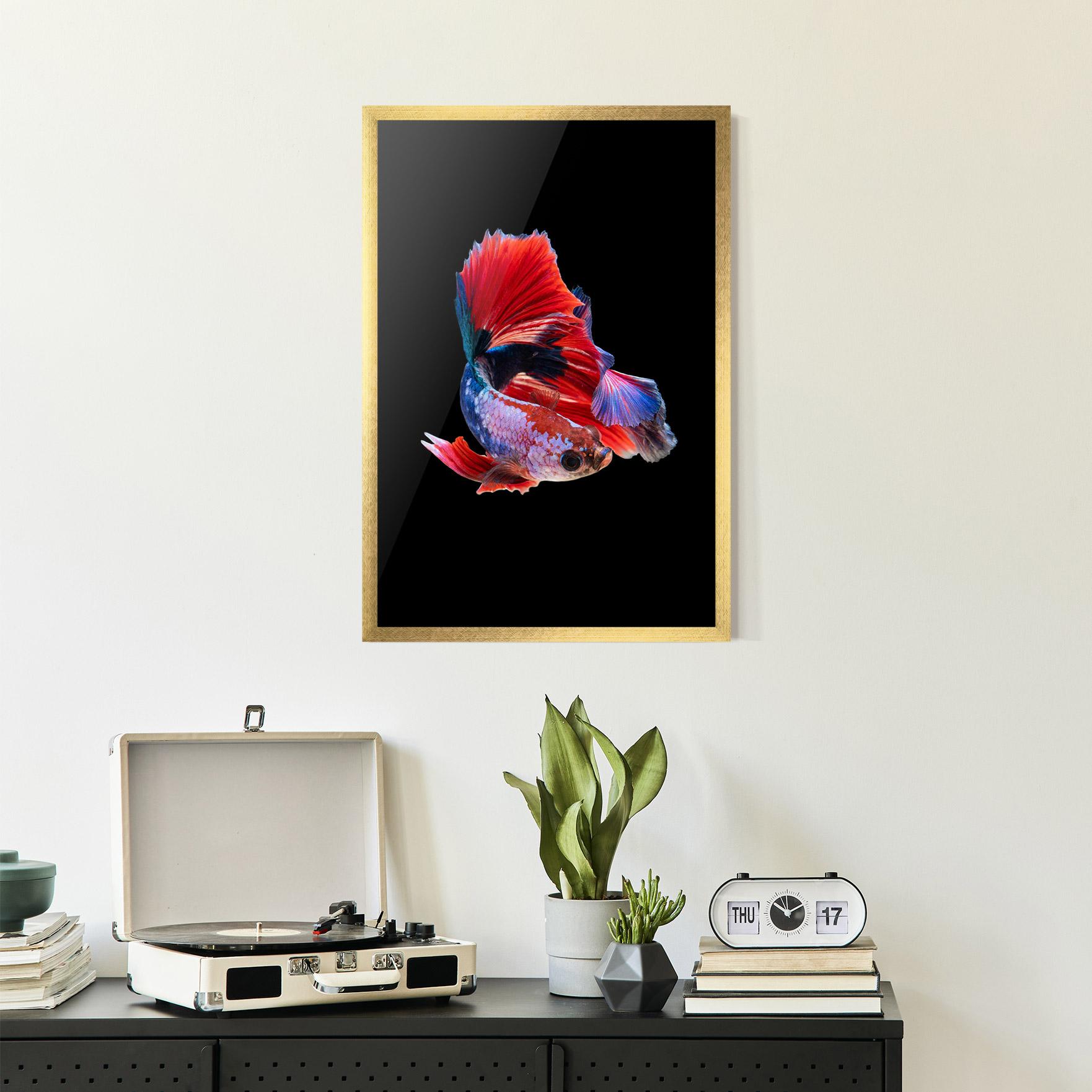Рамкиран постер Red Black Betta mockup 2