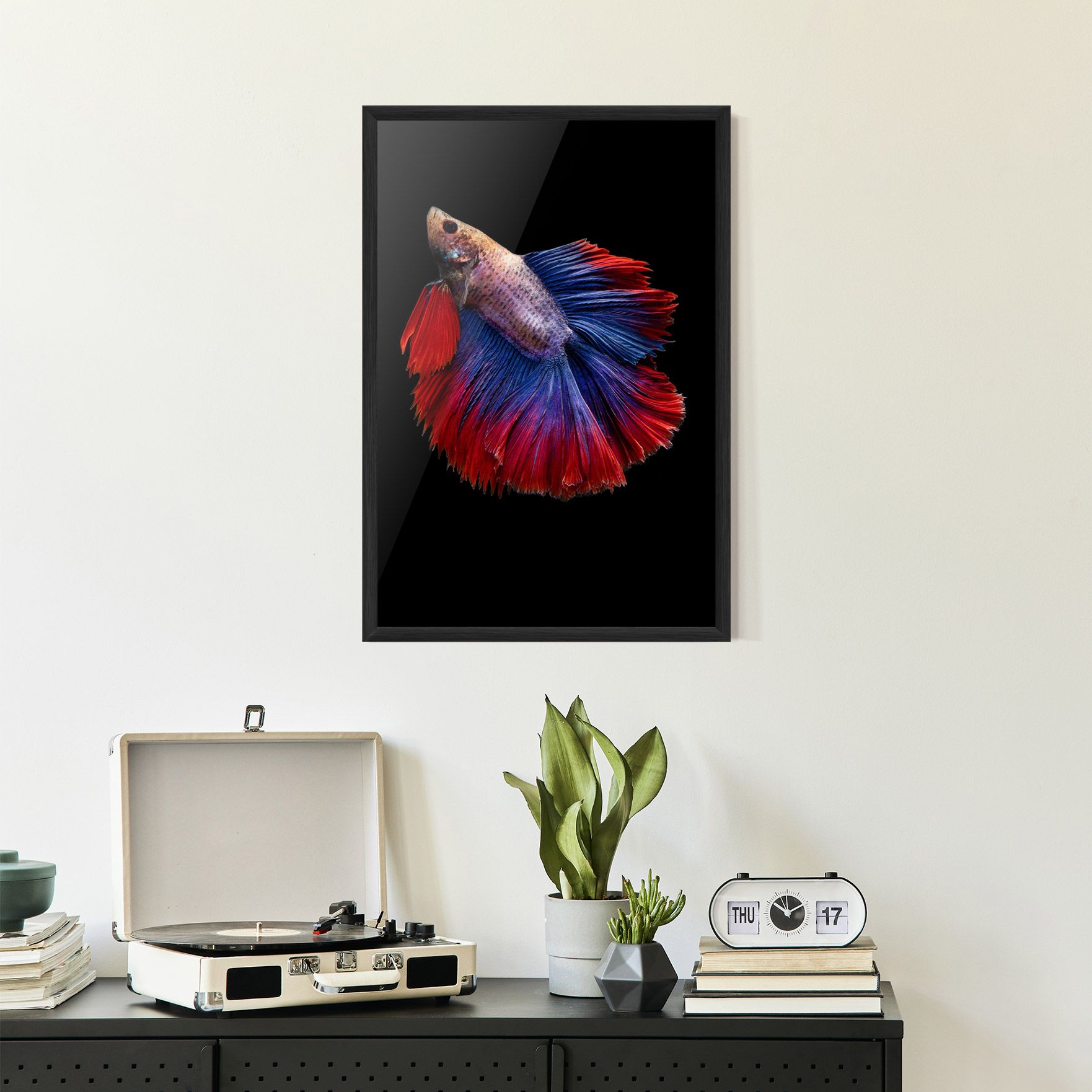 Red Blue Betta mockup 2