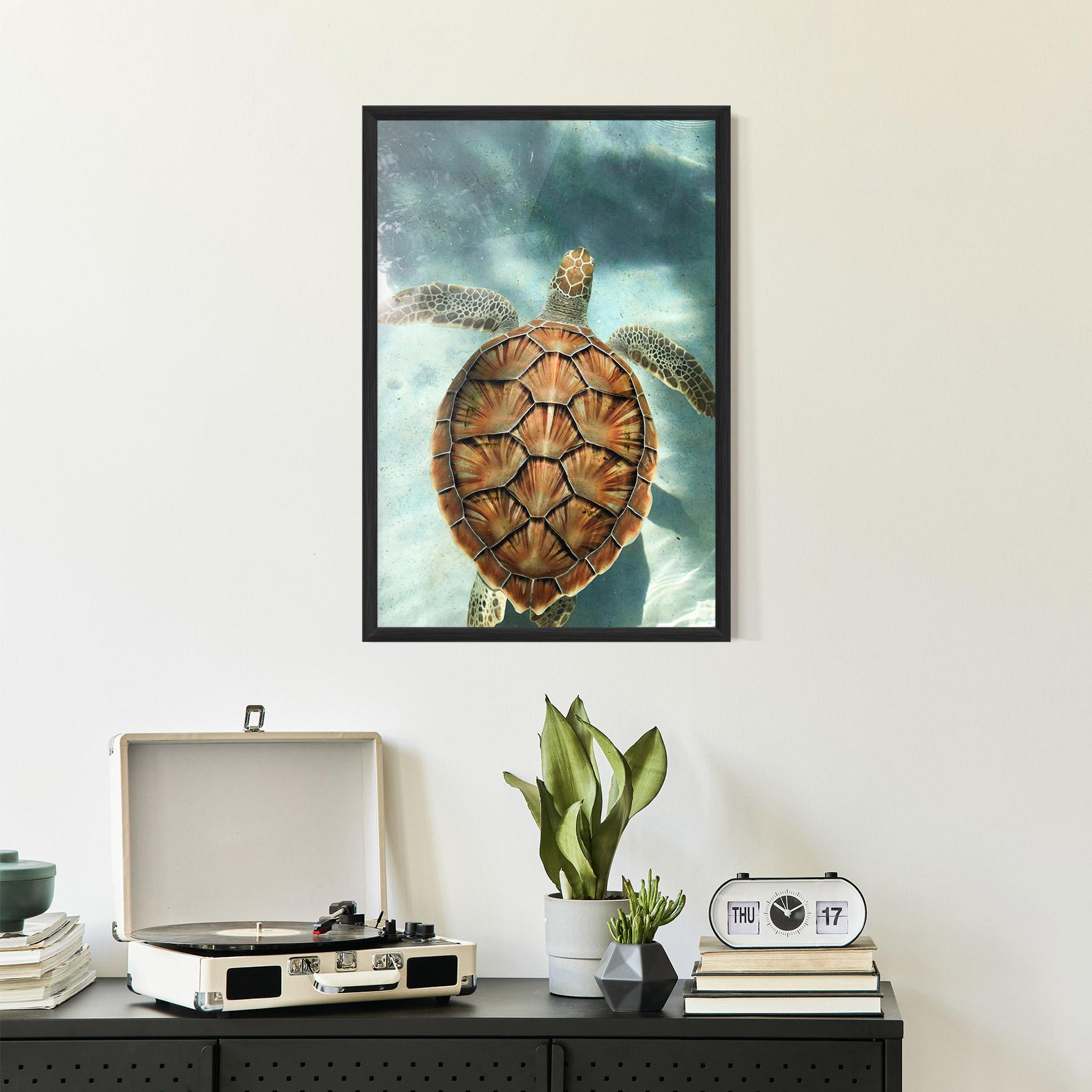 Рамкиран постер Water Tortoise mockup 2
