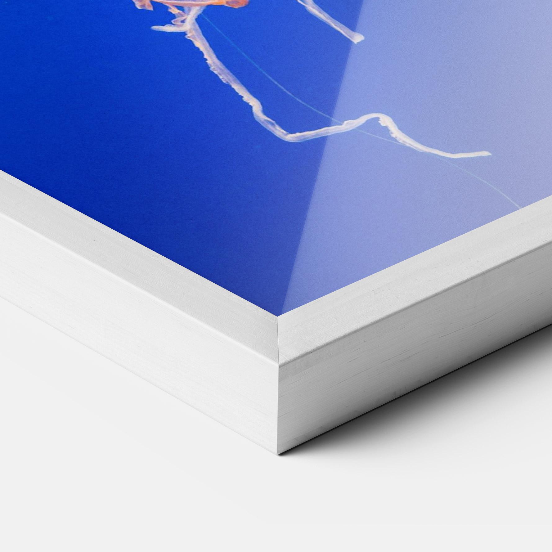 Рамкиран постер Pretty White Jellyfish mockup 3