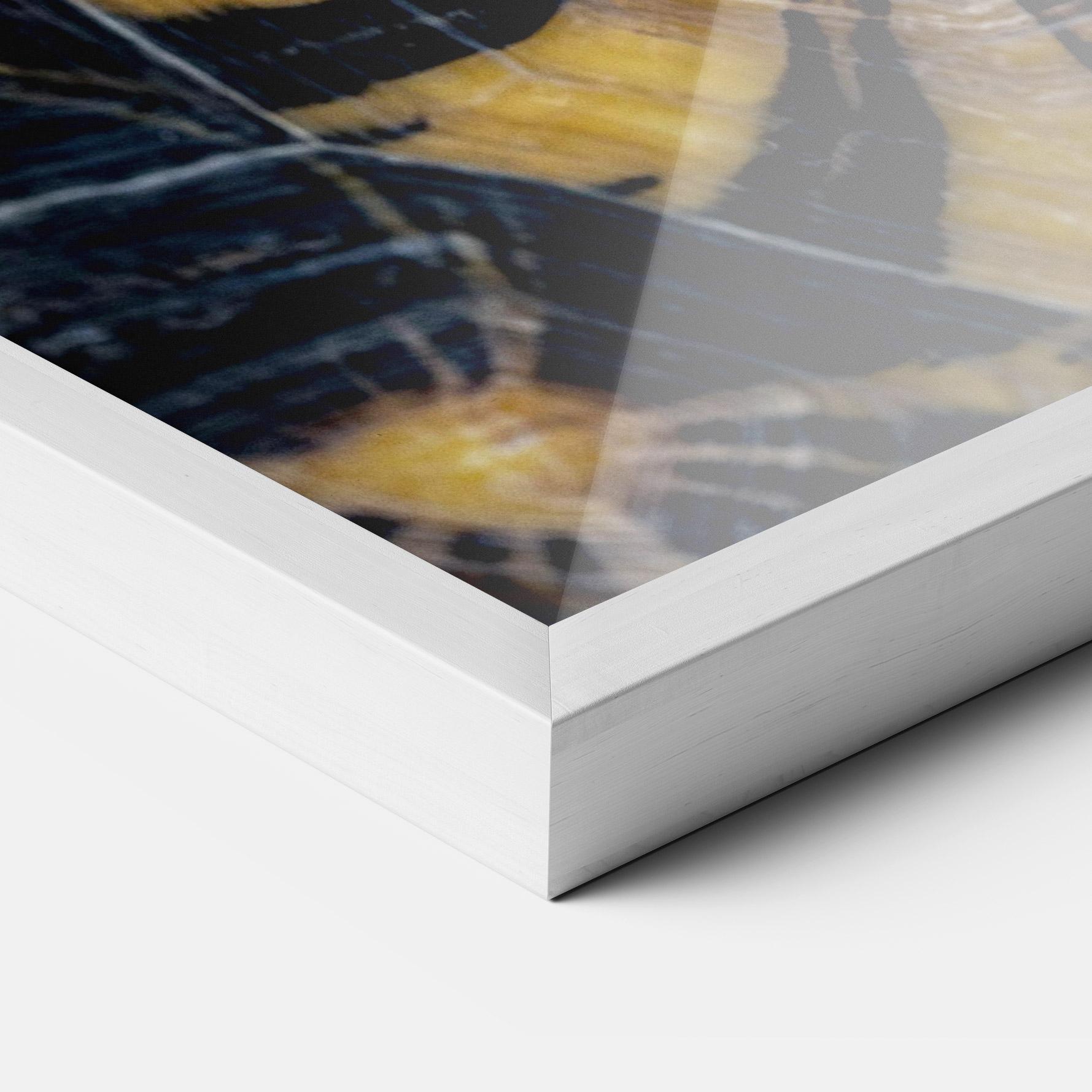 Рамкиран постер Turtle Shell mockup 3