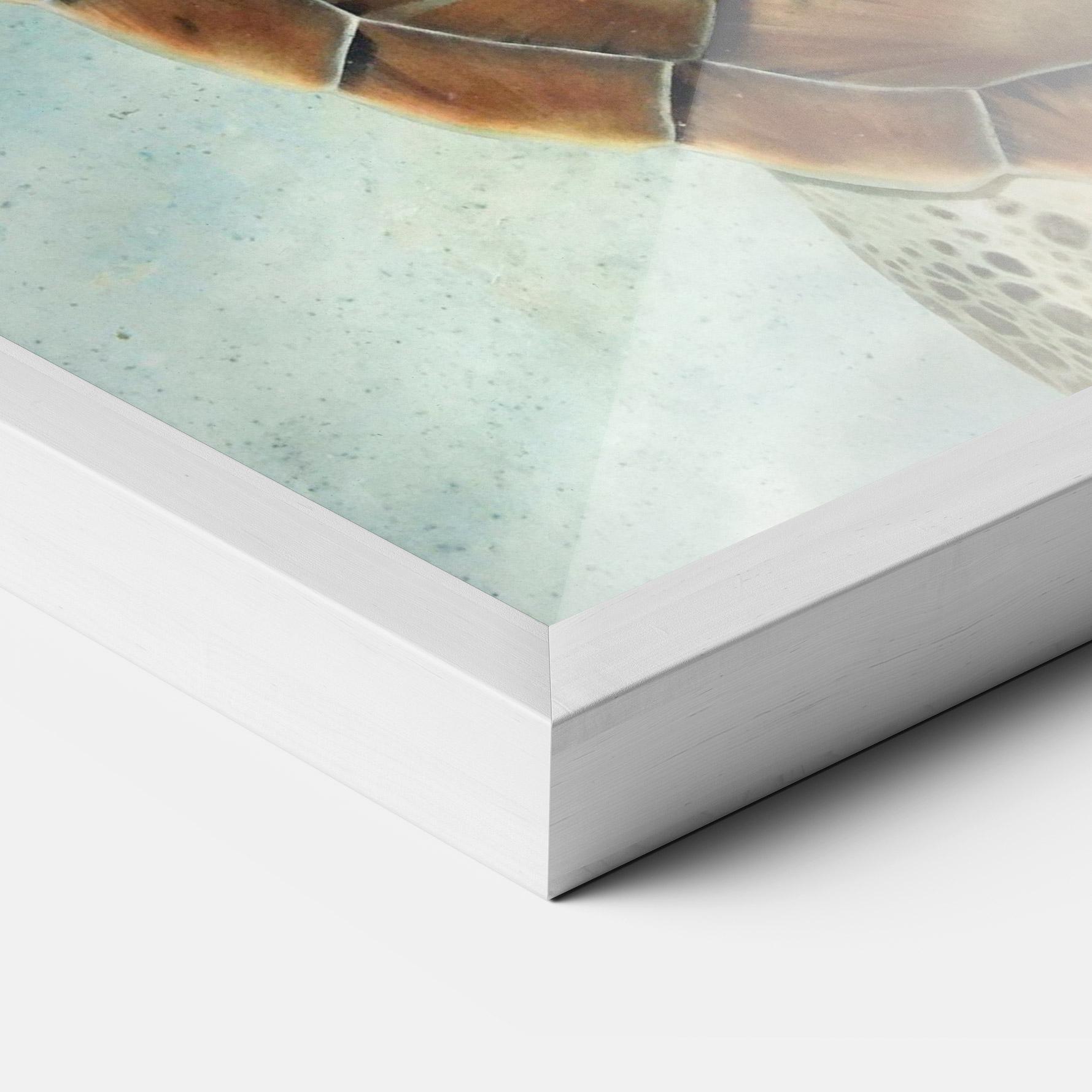 Рамкиран постер Water Tortoise mockup 3