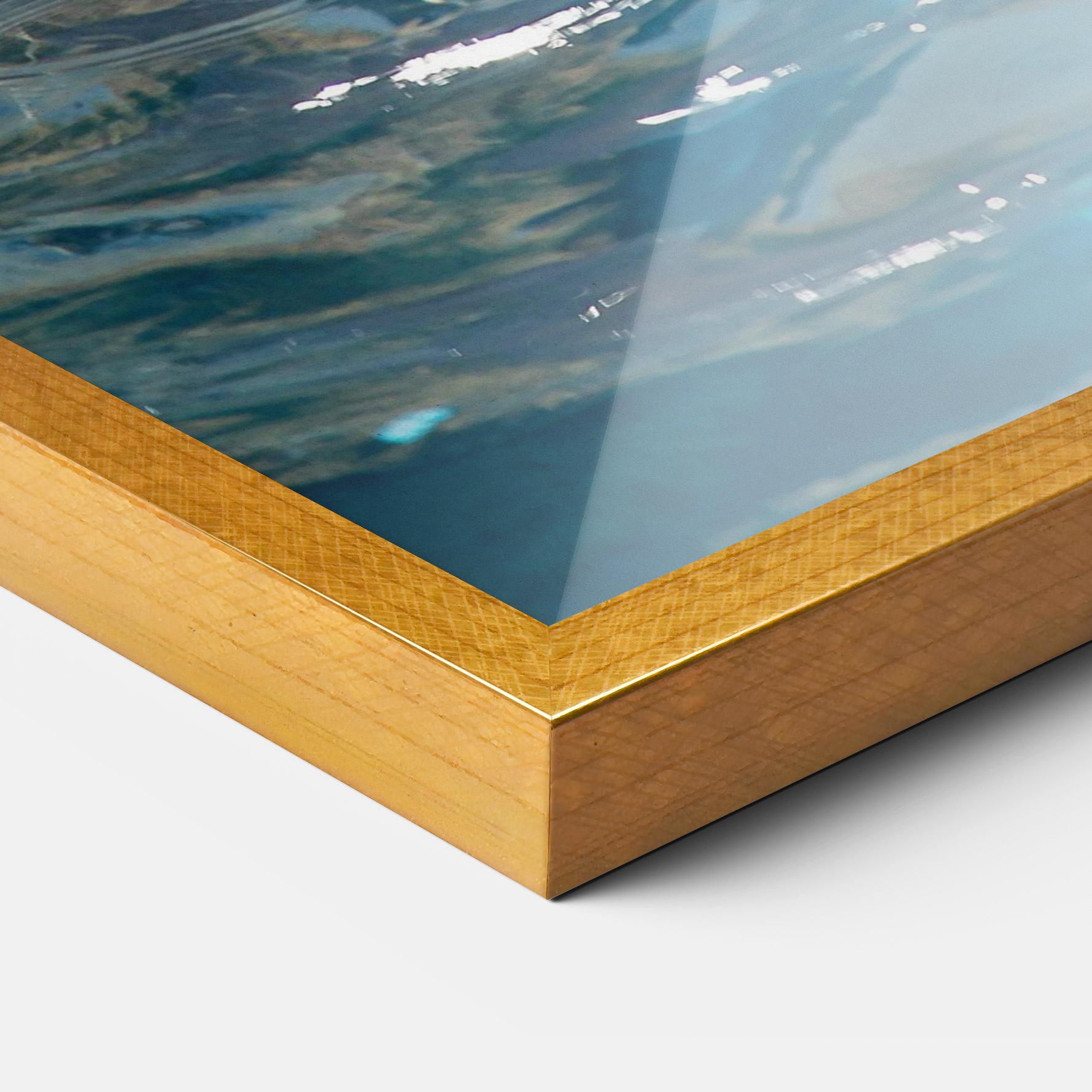 Рамкиран постер Trained Dolphin mockup 3