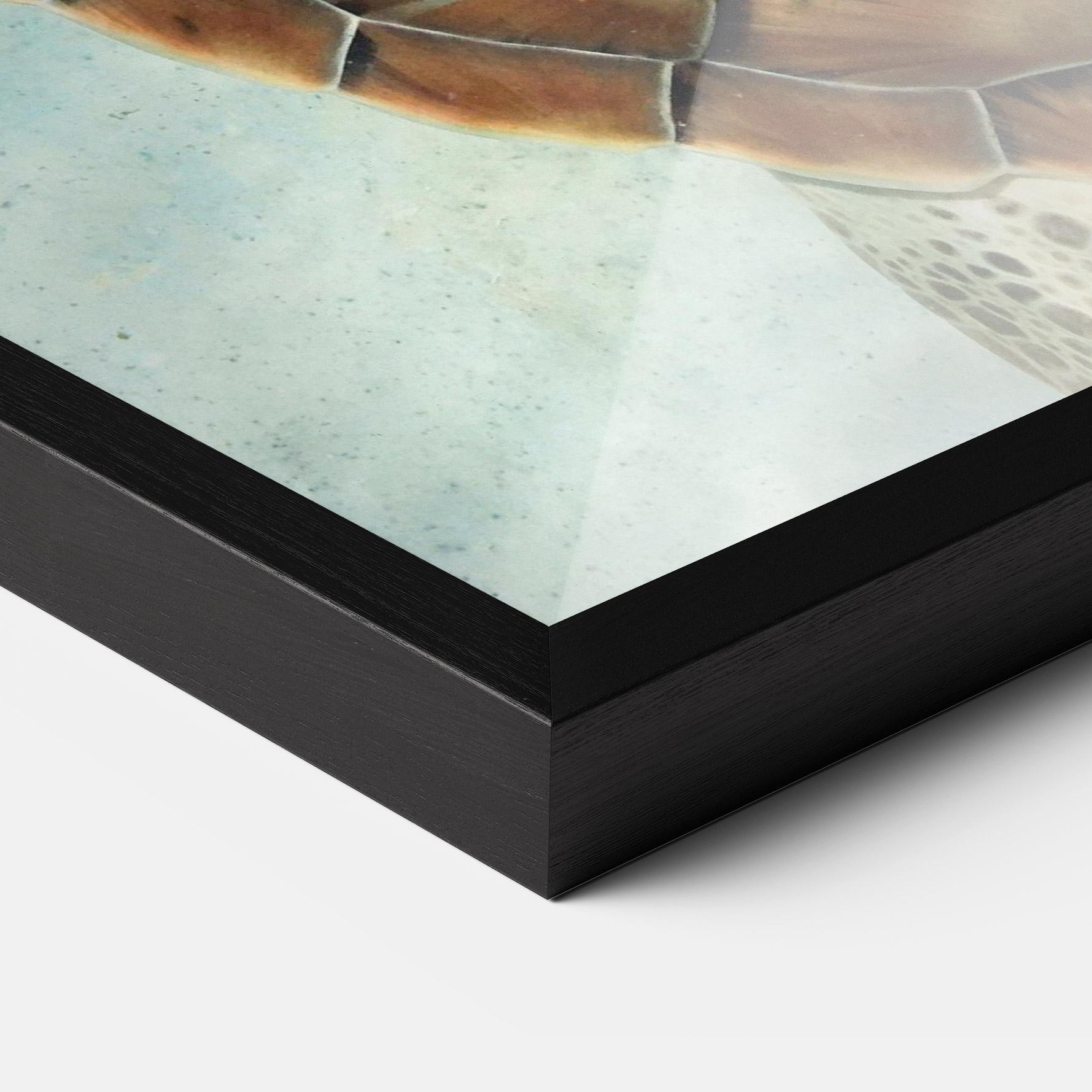 Рамкиран постер Water Tortoise mockup 3