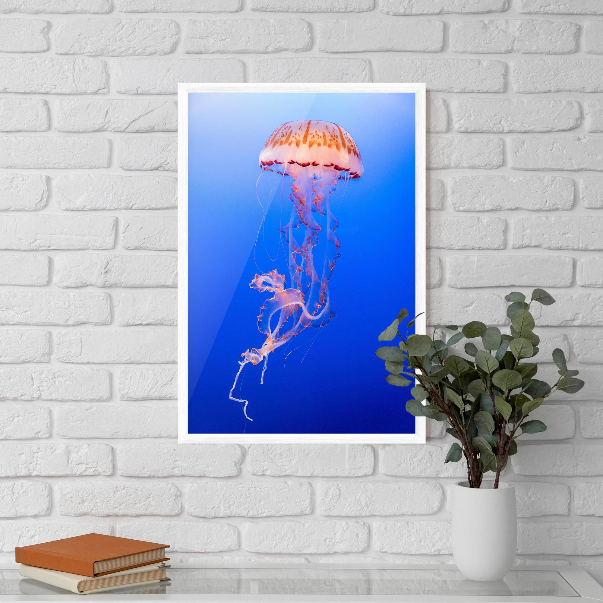 Рамкиран постер Pretty White Jellyfish mockup 5