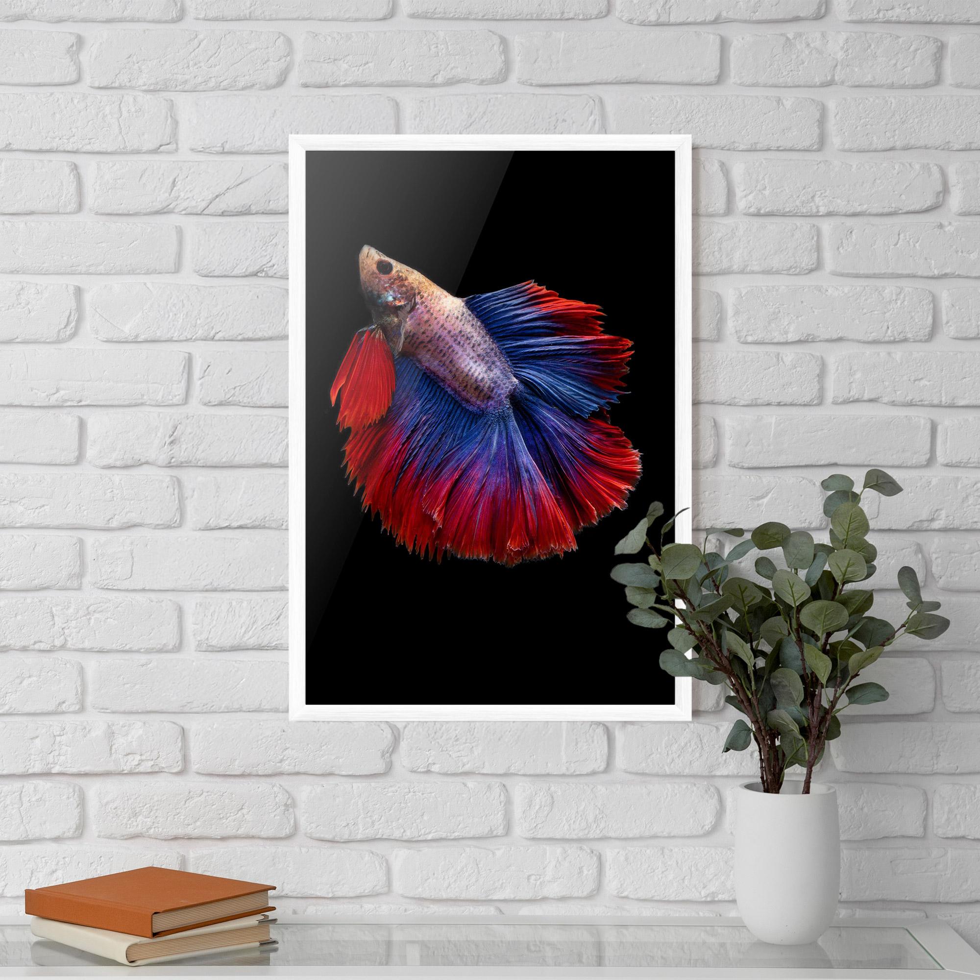 Рамкиран постер Red Blue Betta mockup 5
