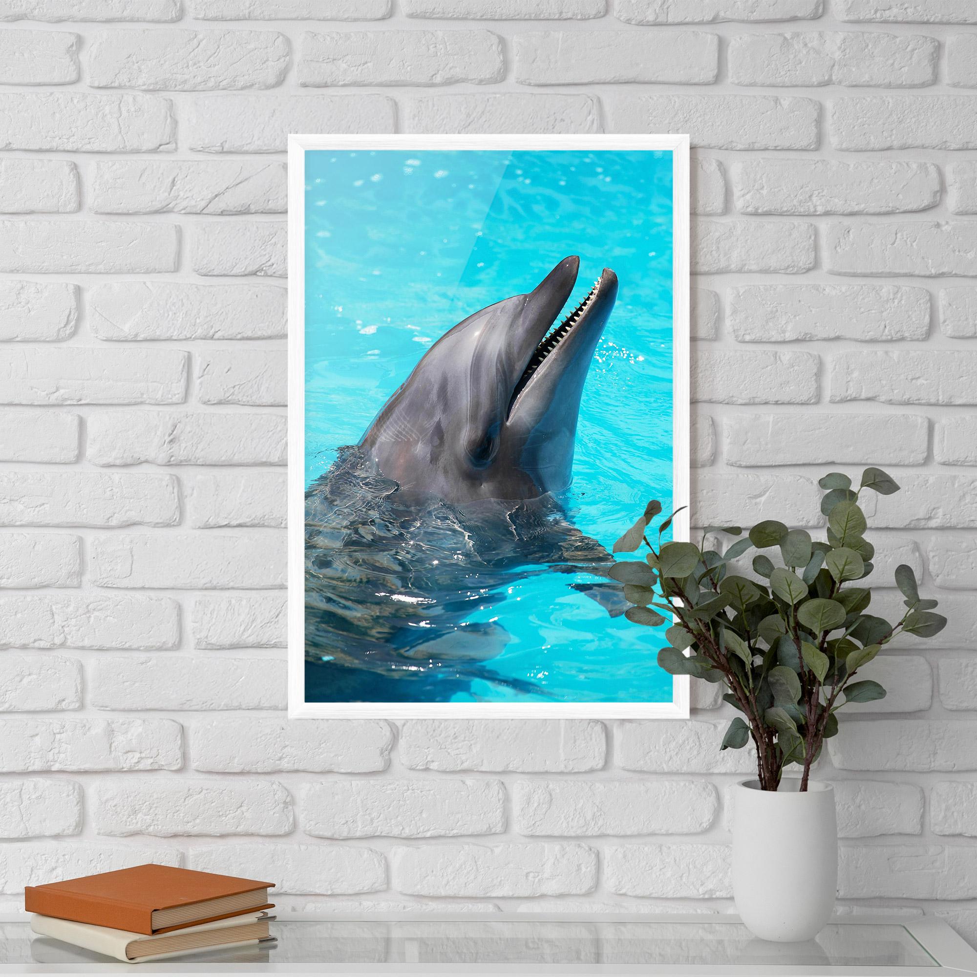 Рамкиран постер Trained Dolphin mockup 5