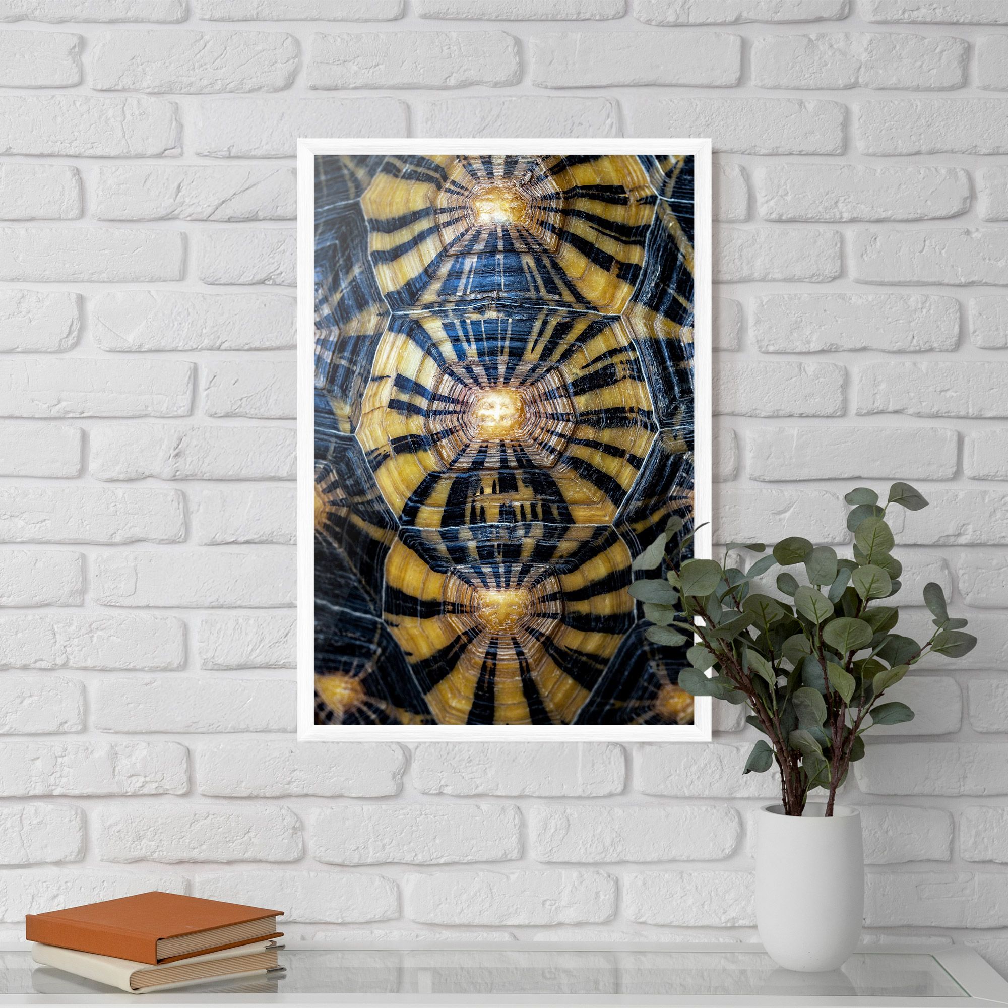 Turtle Shell mockup 5