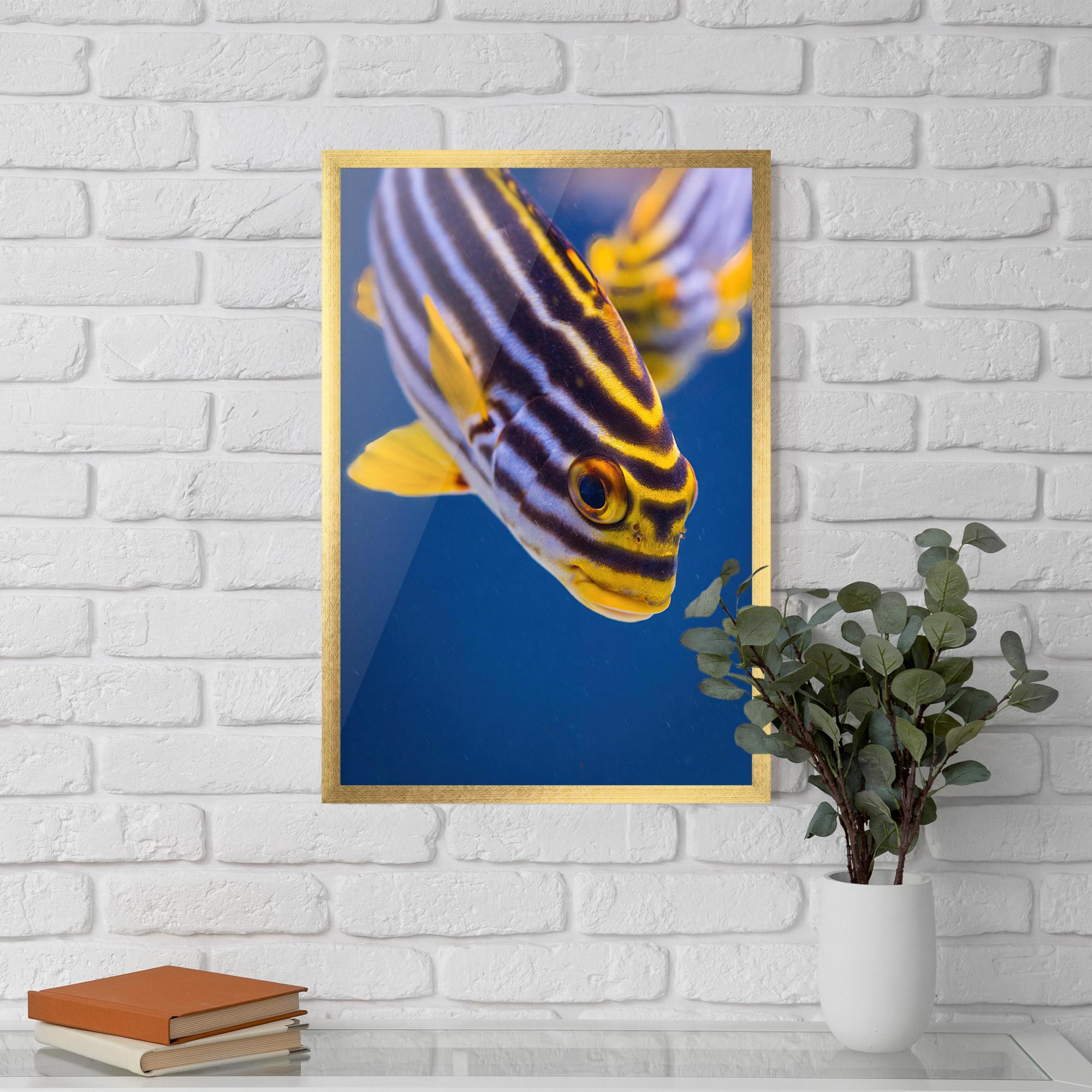 Рамкиран постер Purple Yellow Fish mockup 5