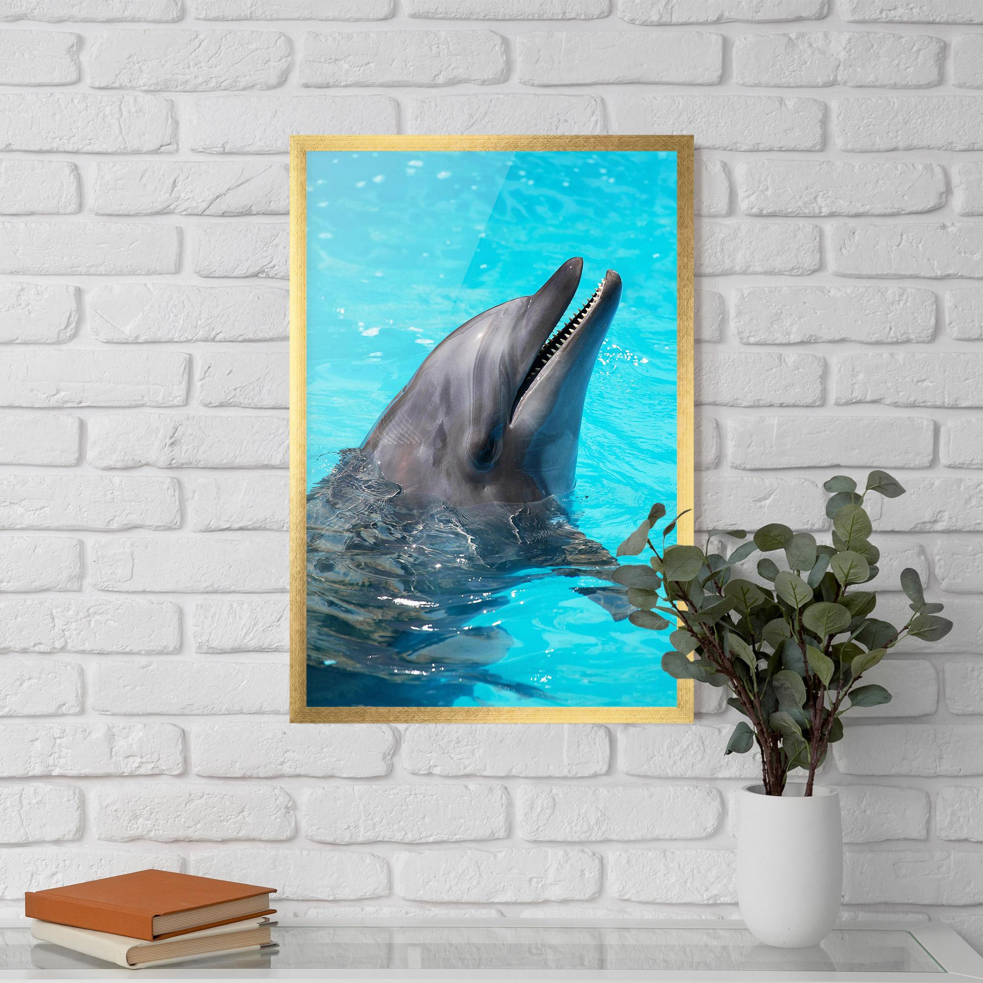 Рамкиран постер Trained Dolphin mockup 5