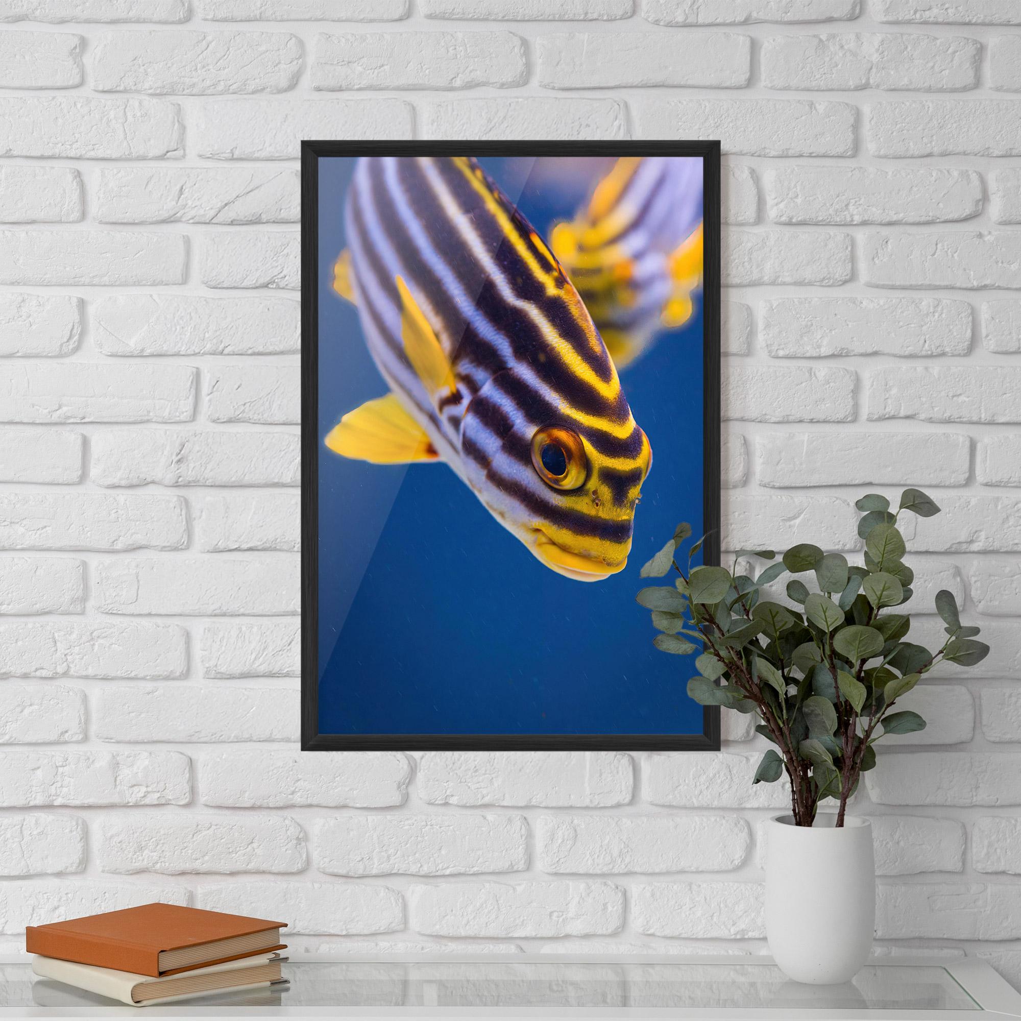 Рамкиран постер Purple Yellow Fish mockup 5