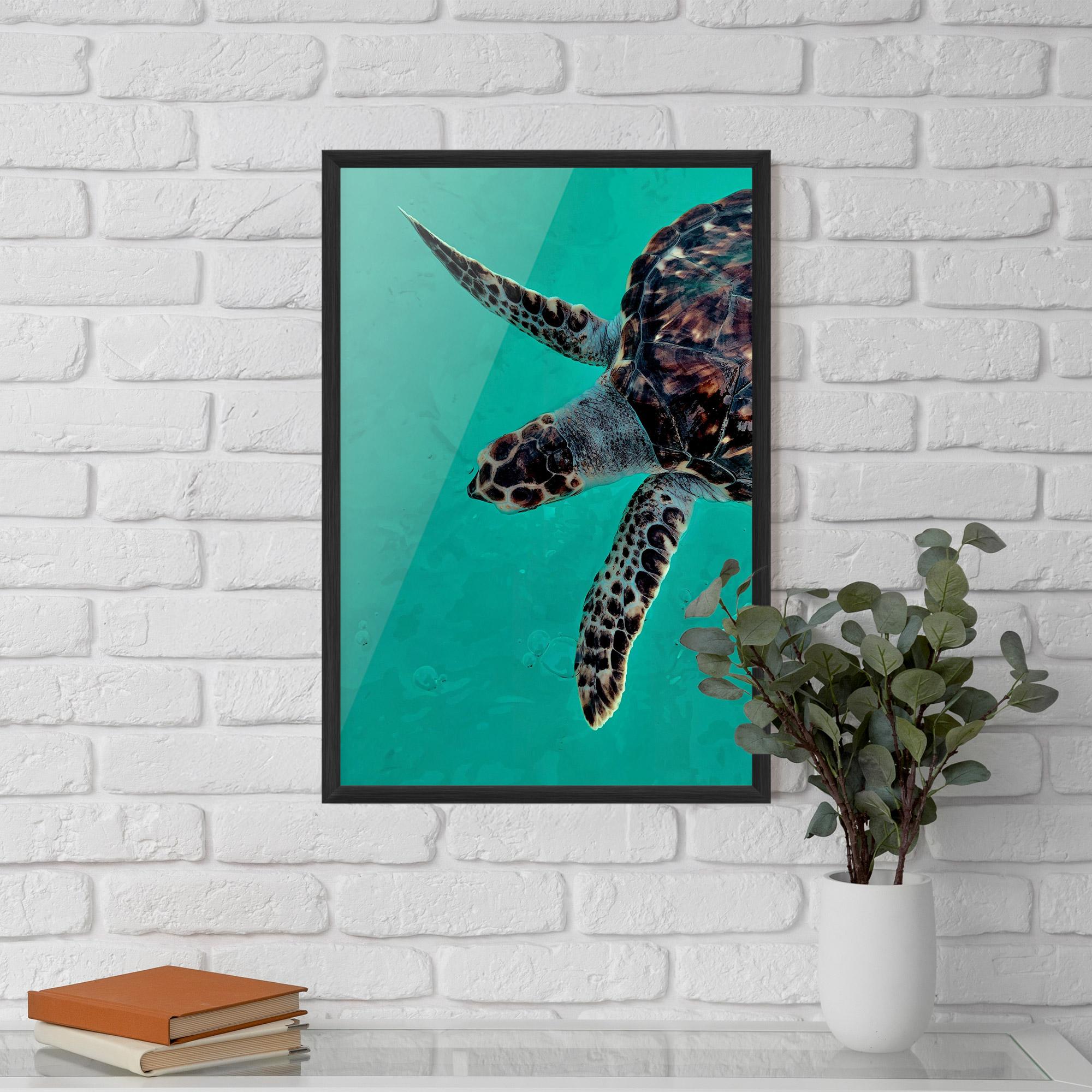 Рамкиран постер Turtle Sweeming mockup 5