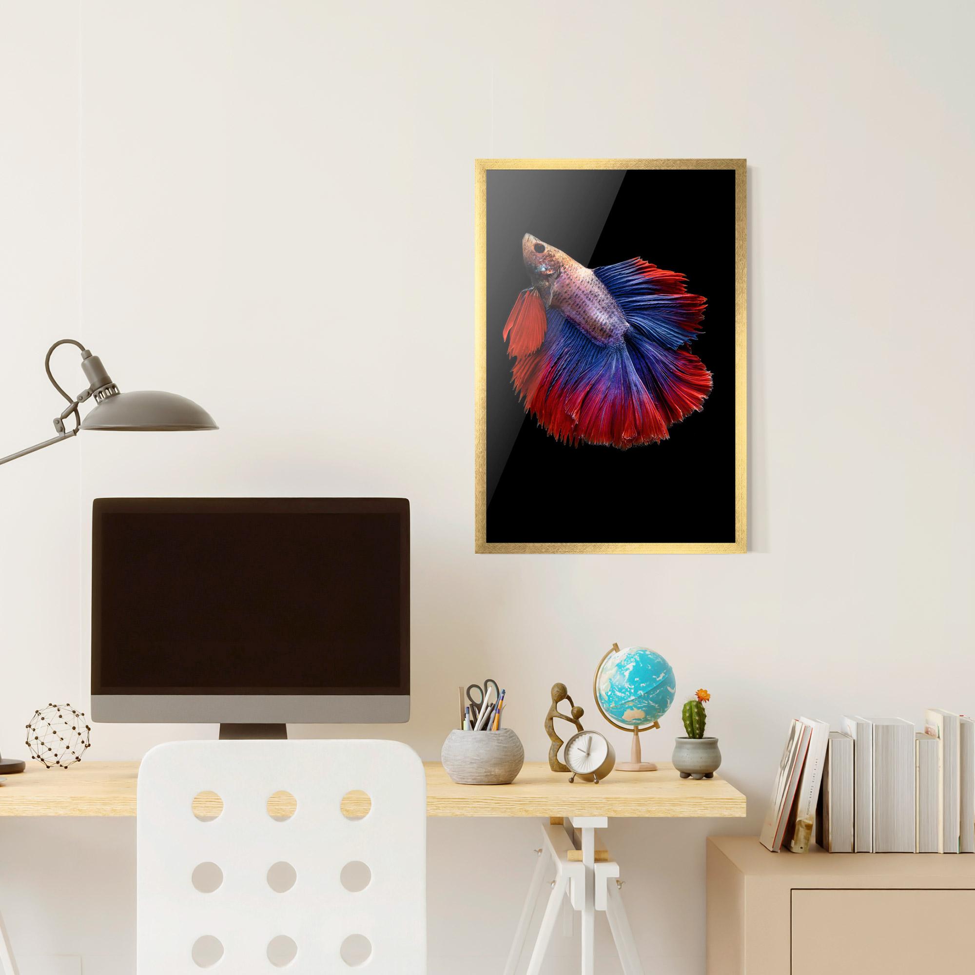 Рамкиран постер Red Blue Betta mockup 6