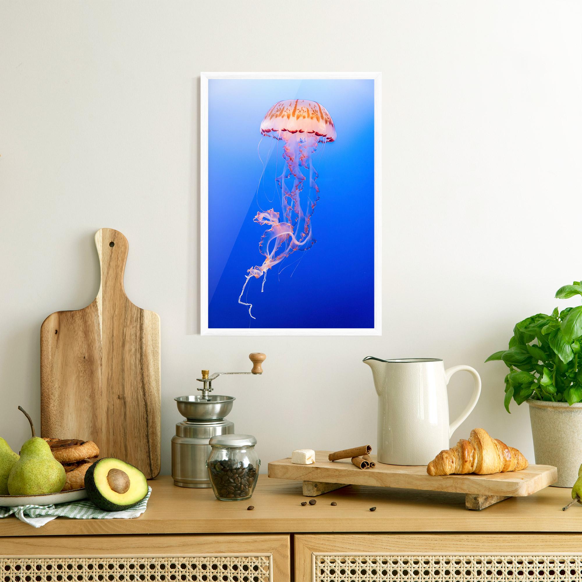 Рамкиран постер Pretty White Jellyfish mockup 8