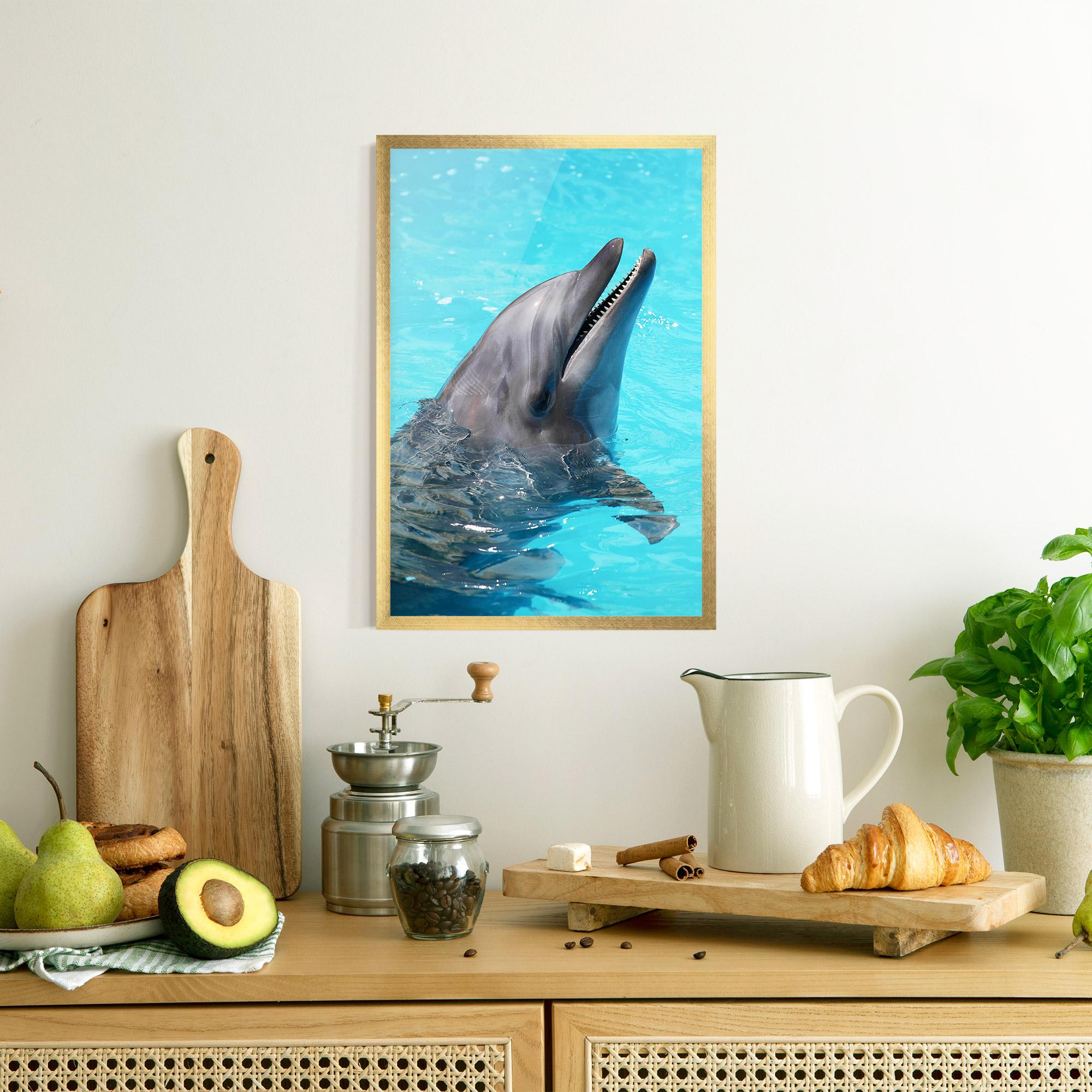 Рамкиран постер Trained Dolphin mockup 8