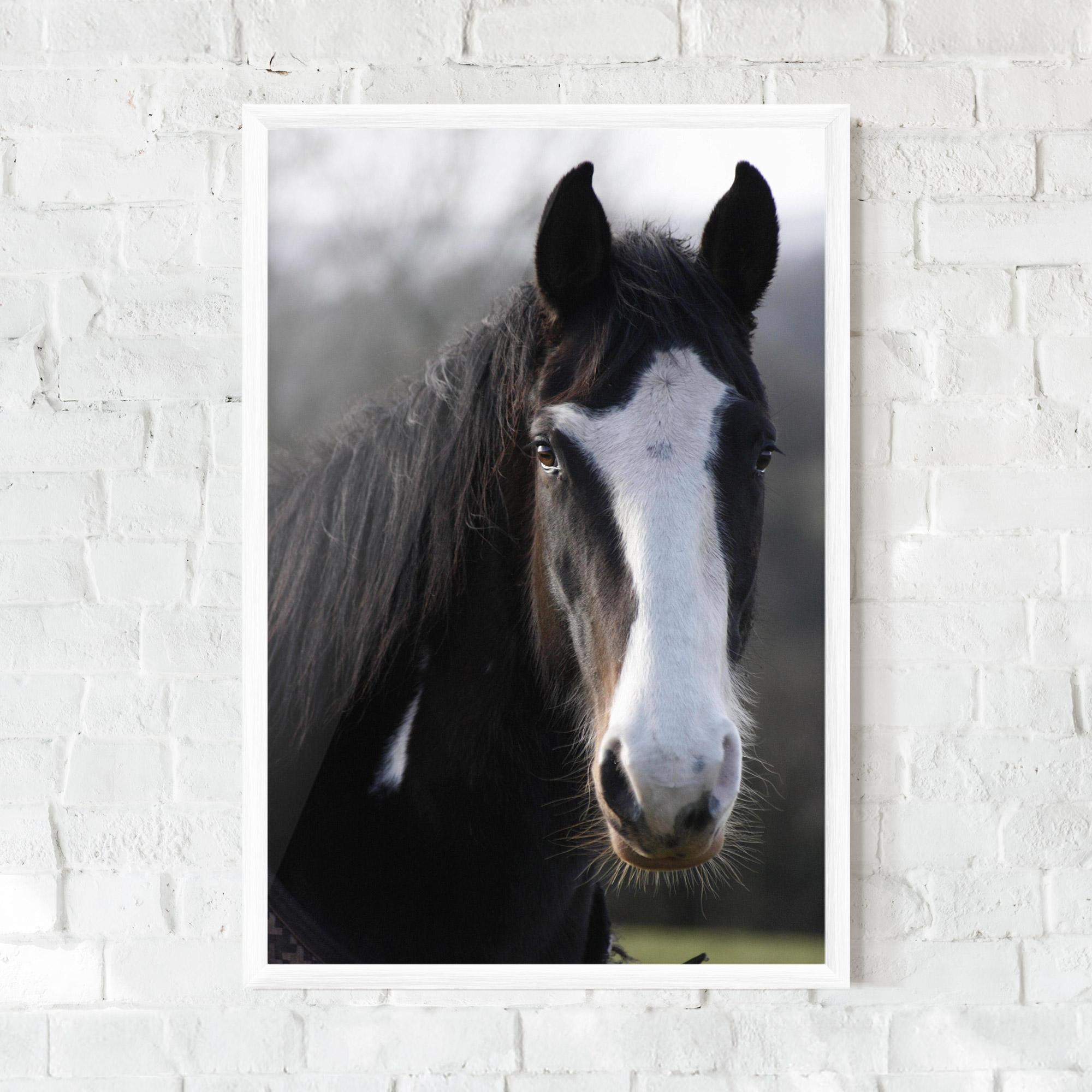 Рамкиран постер Horse Black Portrait mockup 0