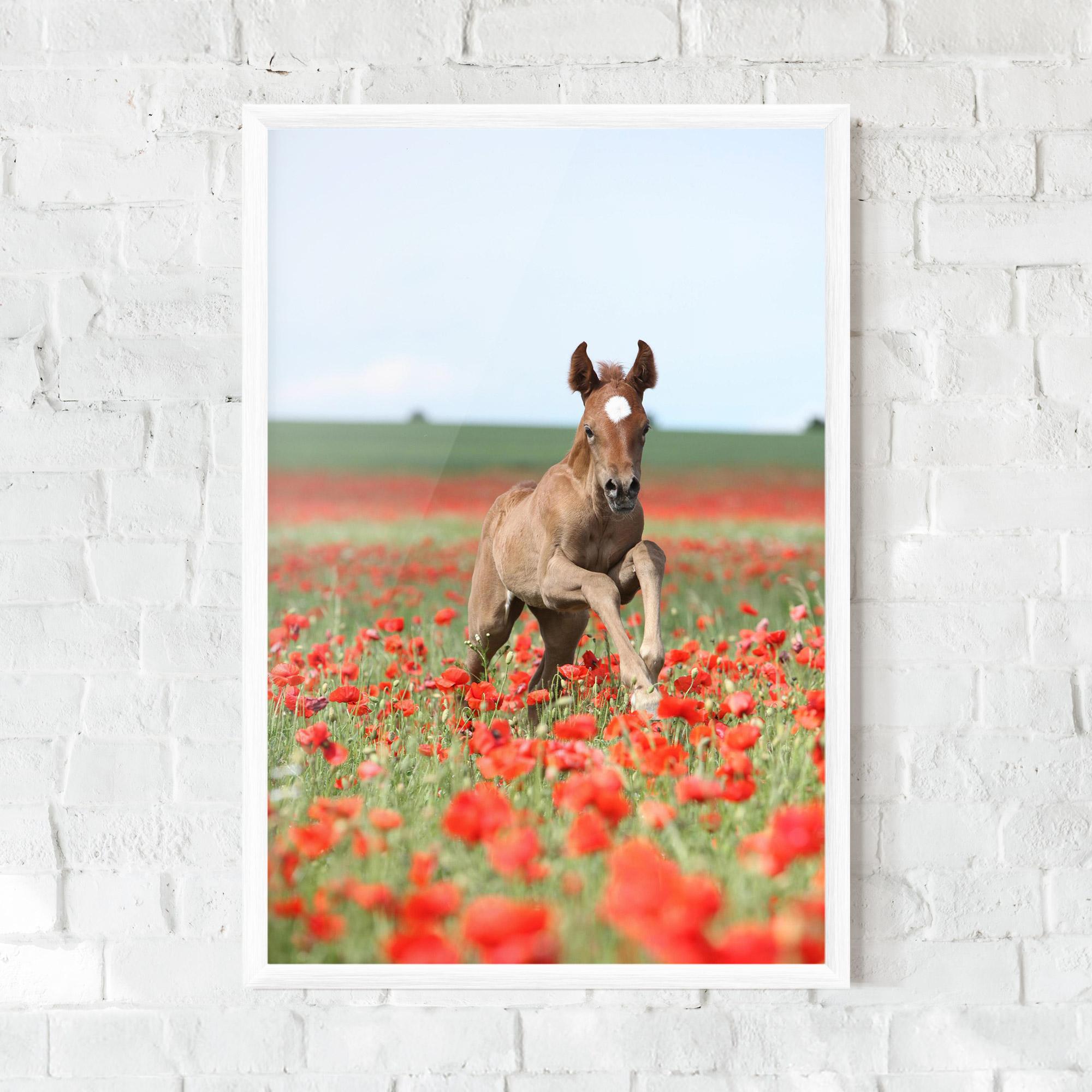 Рамкиран постер Red Flowers Horse mockup 0