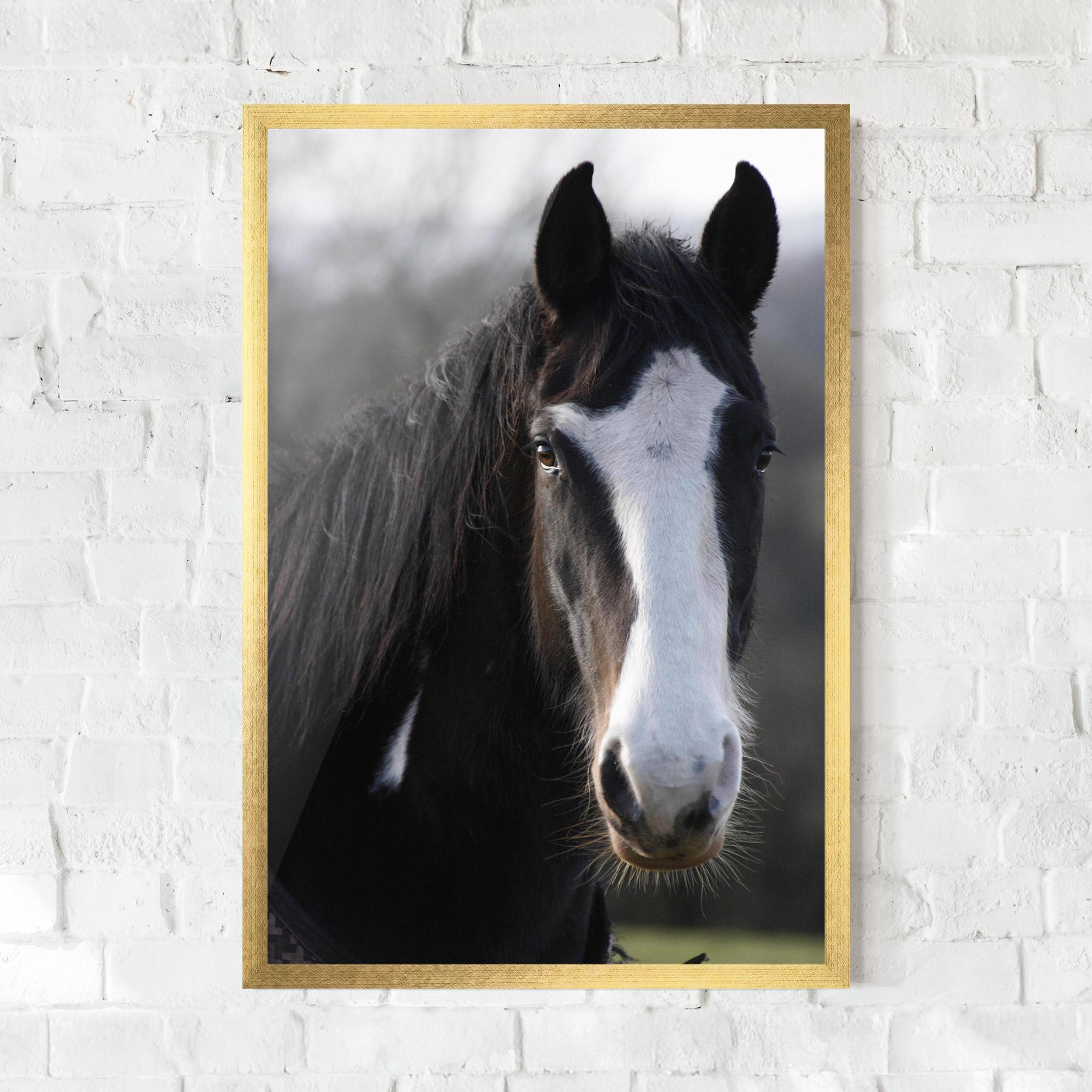 Рамкиран постер Horse Black Portrait mockup 0