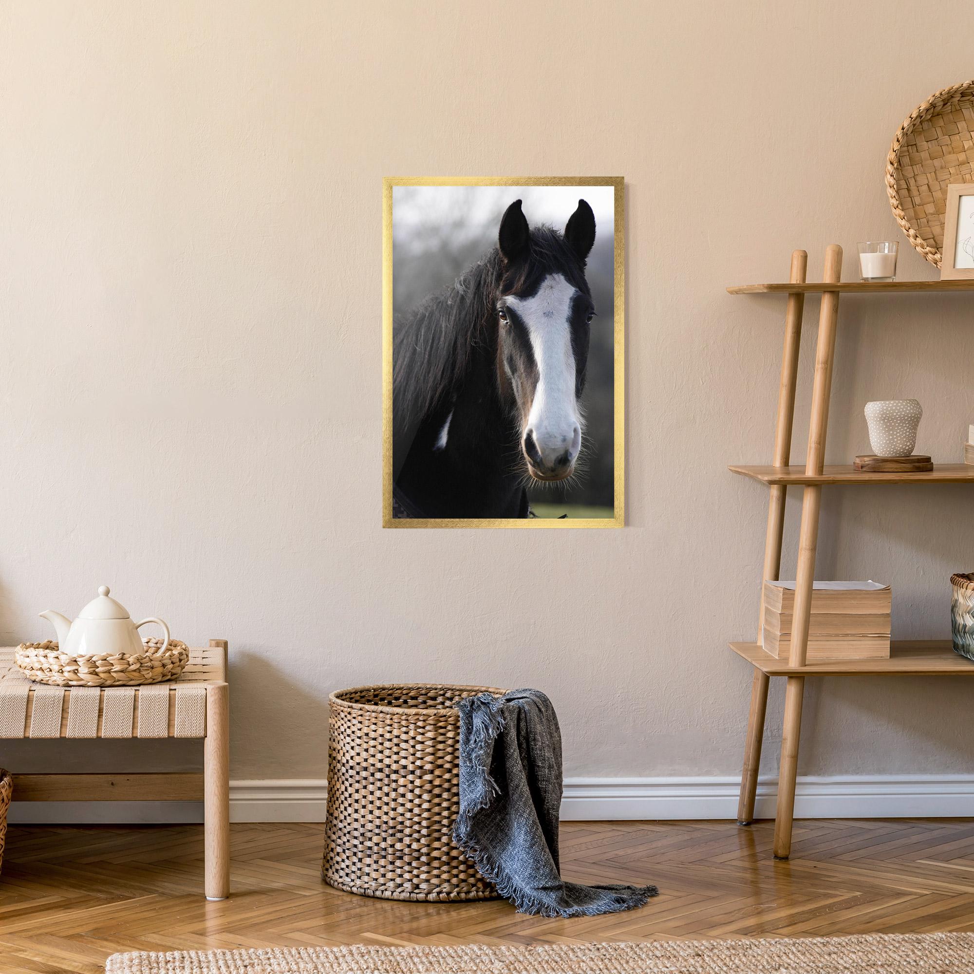 Рамкиран постер Horse Black Portrait mockup 9