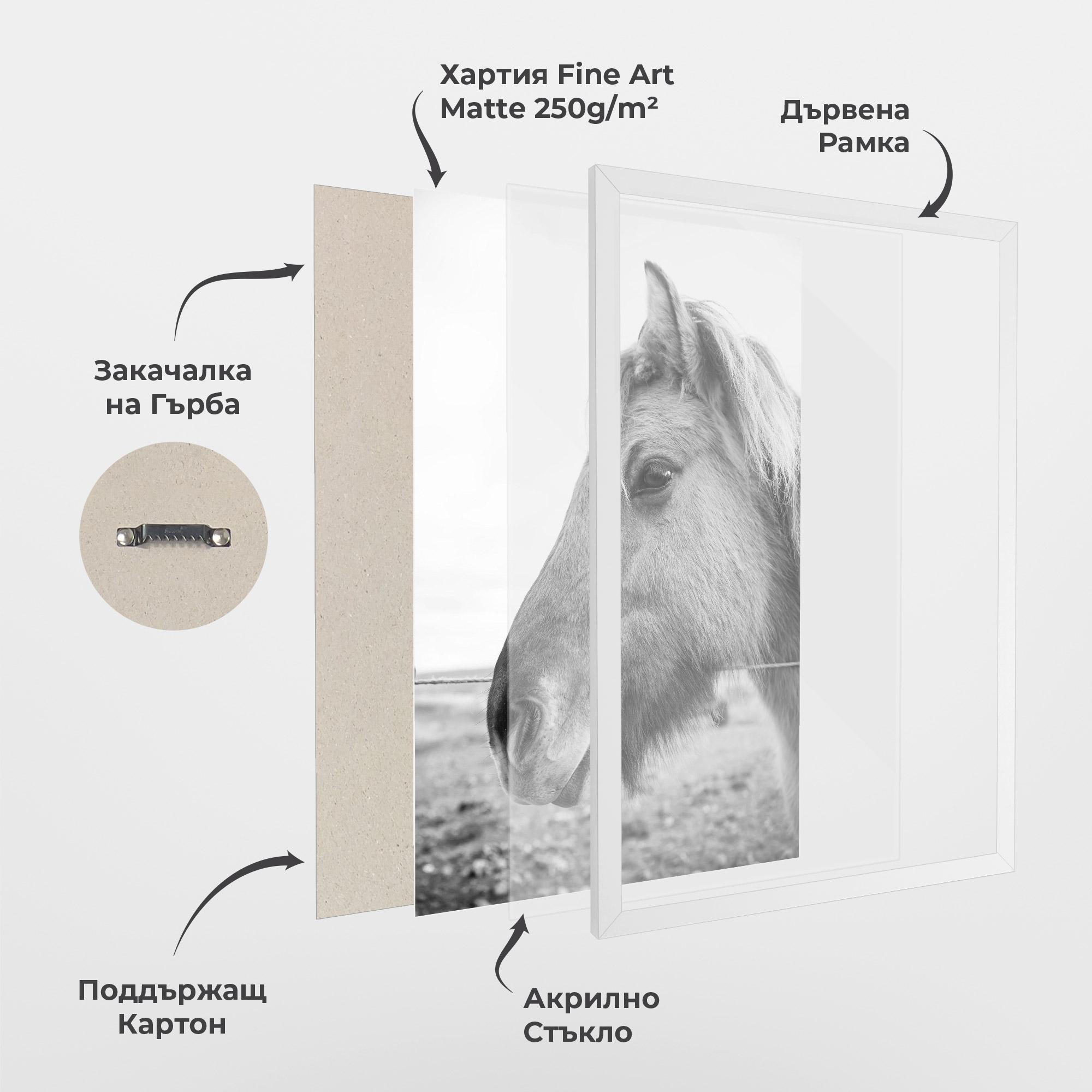 Рамкиран постер Gray Horse Head mockup 1