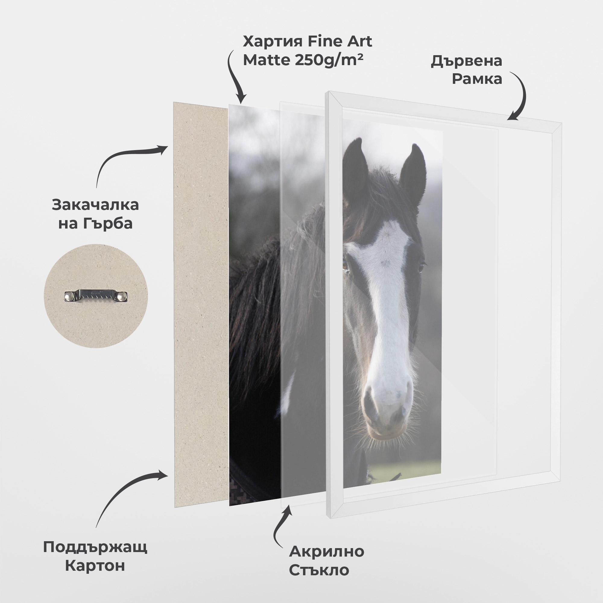 Рамкиран постер Horse Black Portrait mockup 1