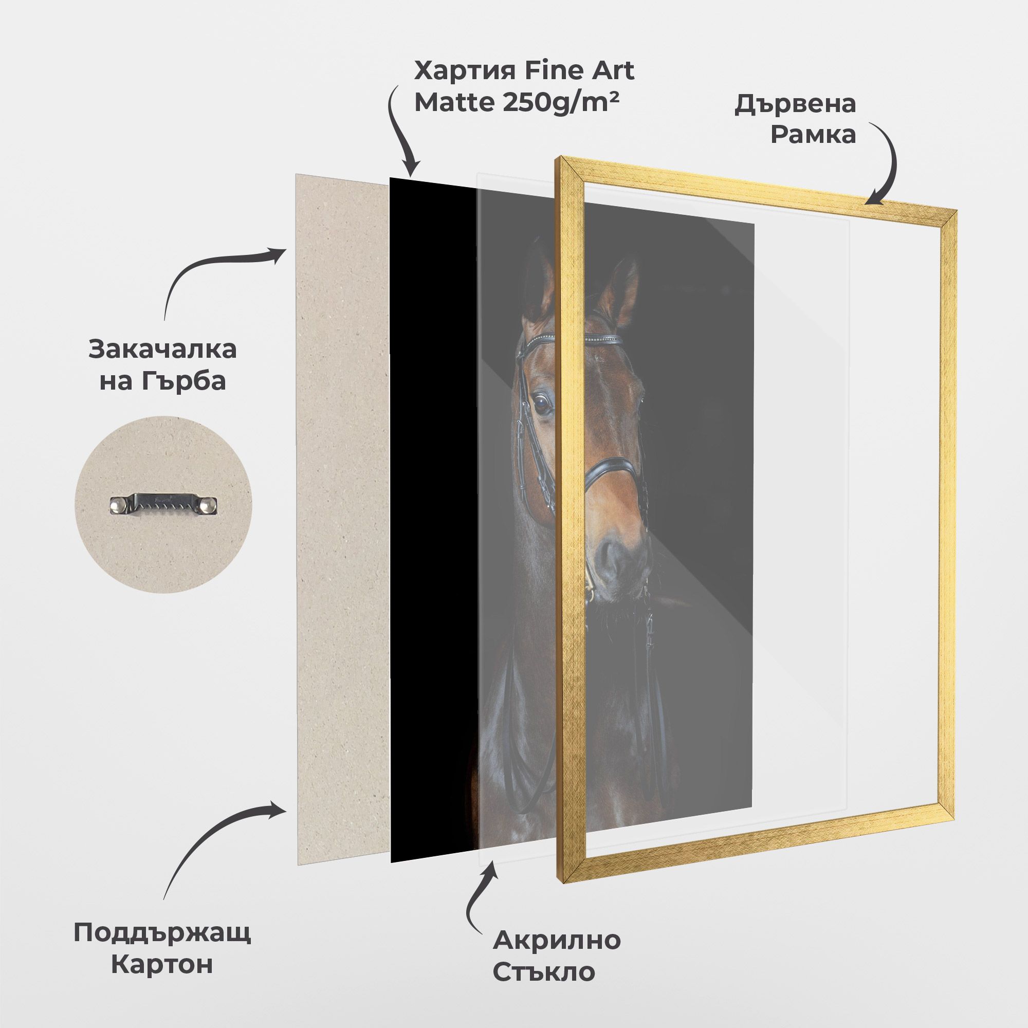 Brown Horse On Black mockup 1