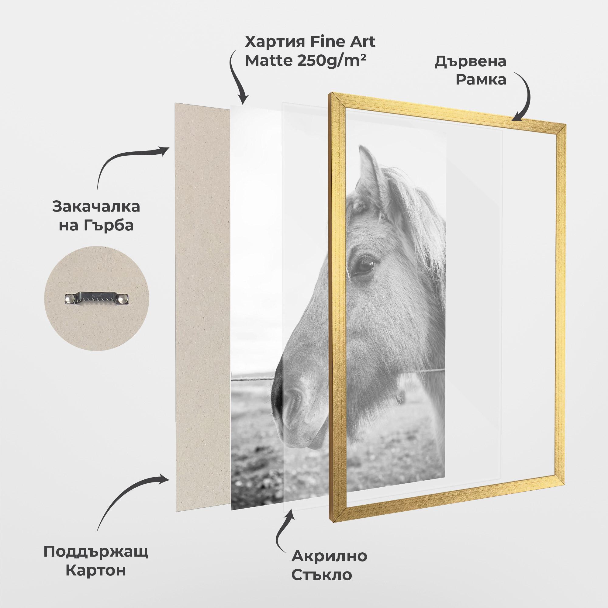 Рамкиран постер Gray Horse Head mockup 1