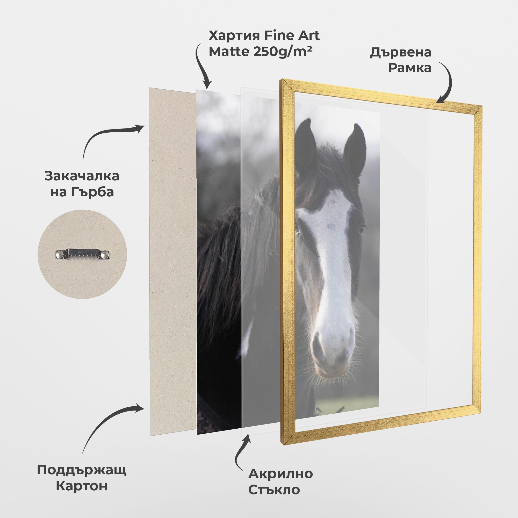 Рамкиран постер Horse Black Portrait mockup 1