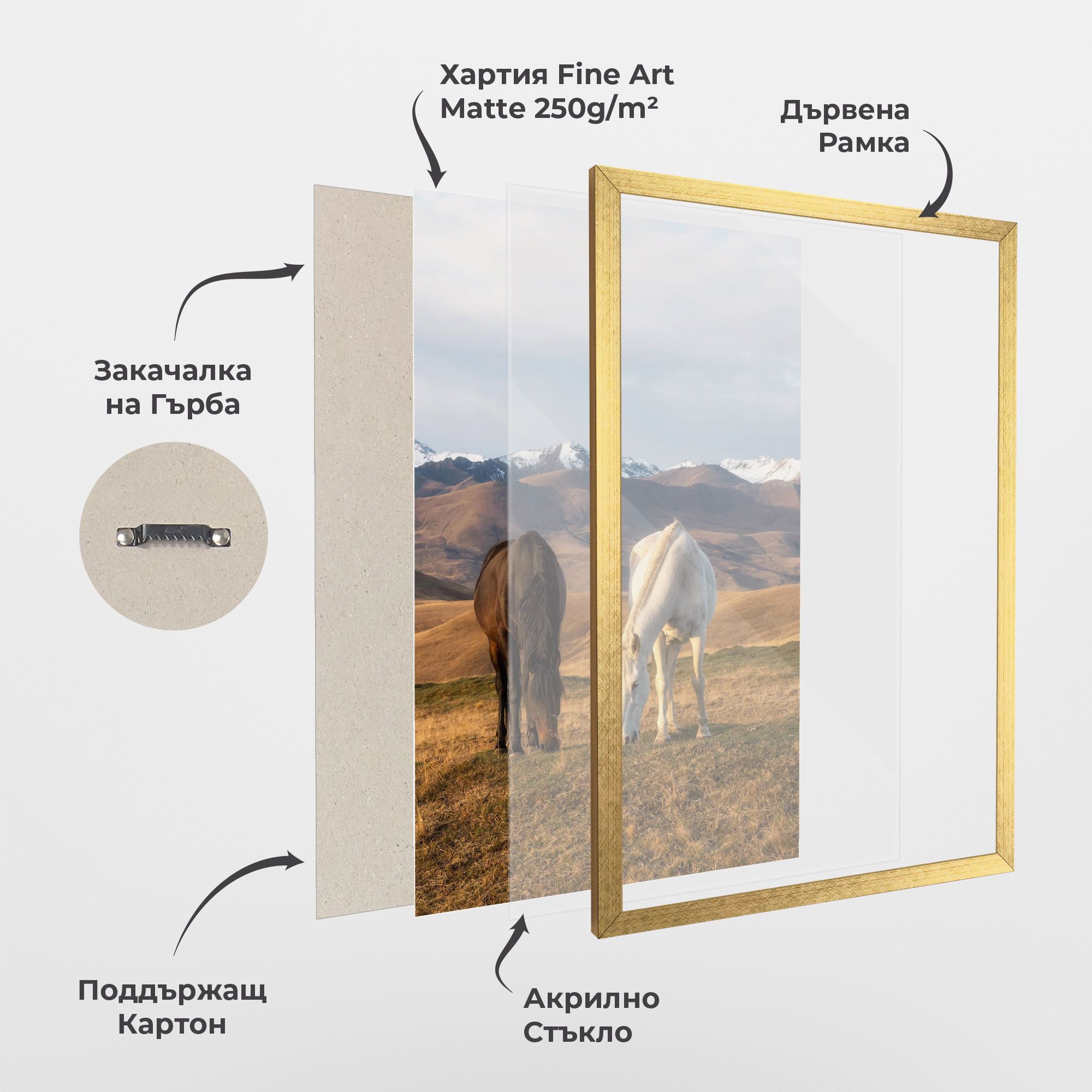 Mountain Horses mockup 1