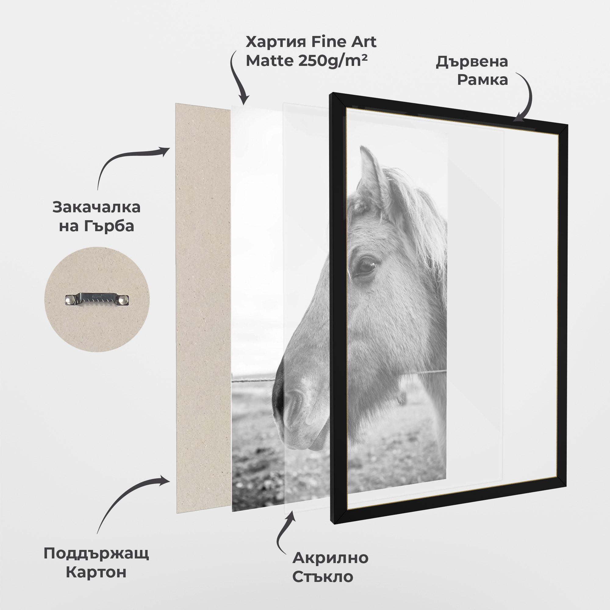 Рамкиран постер Gray Horse Head mockup 1