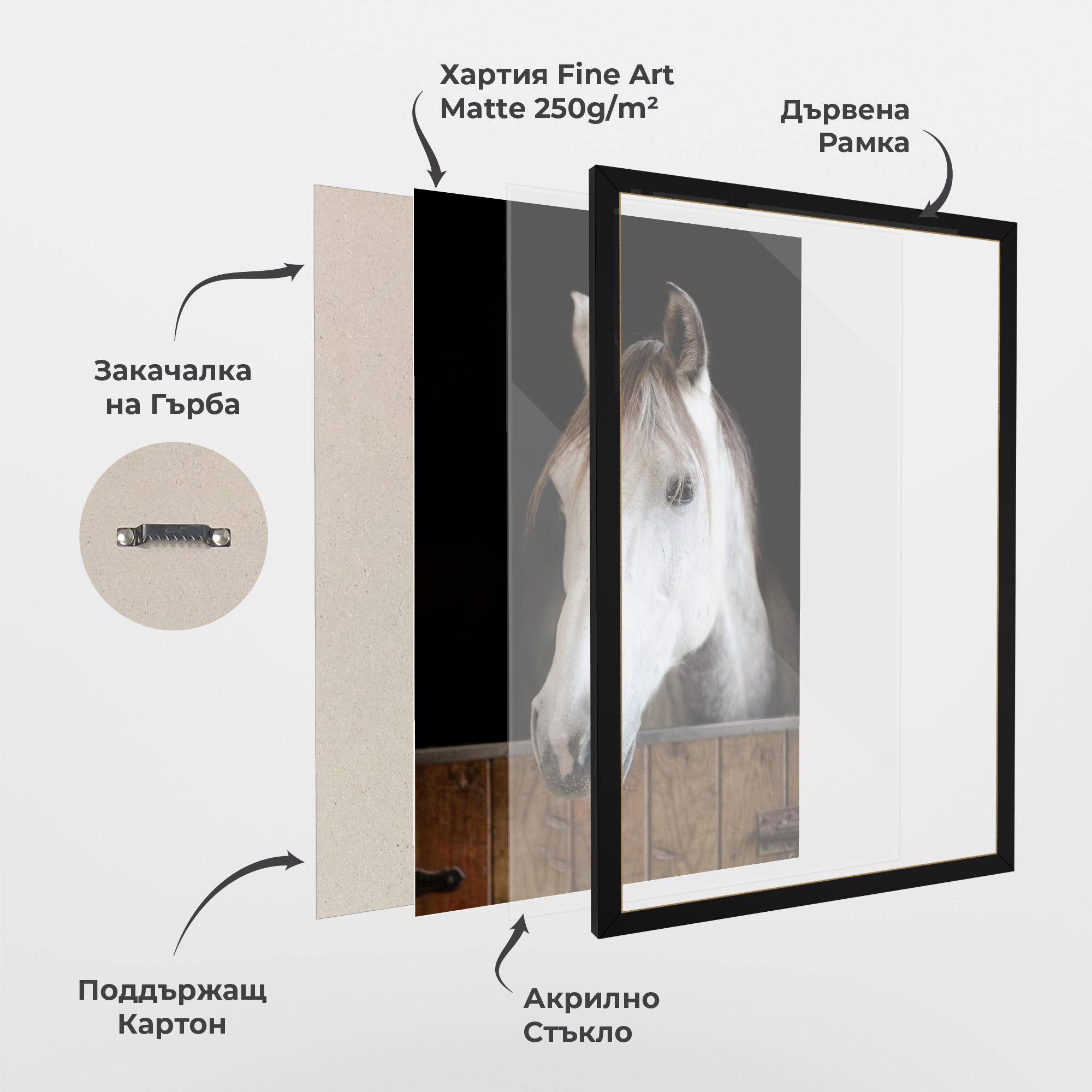 Рамкиран постер Grey Horse Head mockup 1