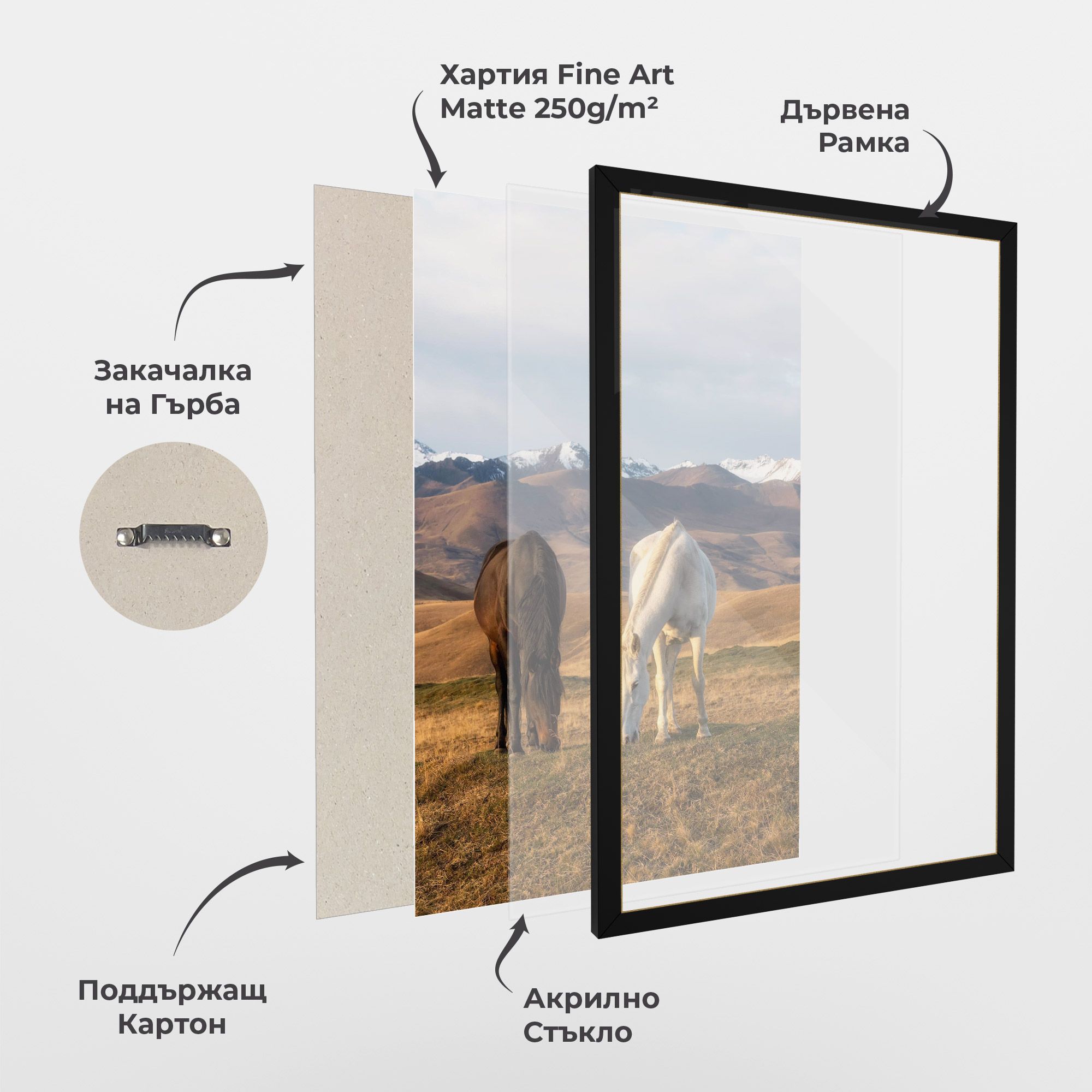 Mountain Horses mockup 1