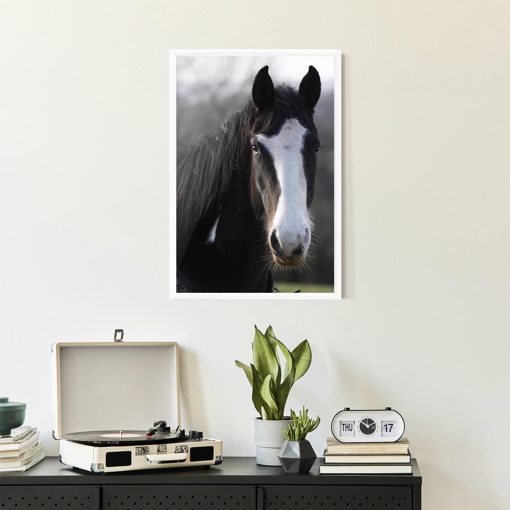 Рамкиран постер Horse Black Portrait mockup 2
