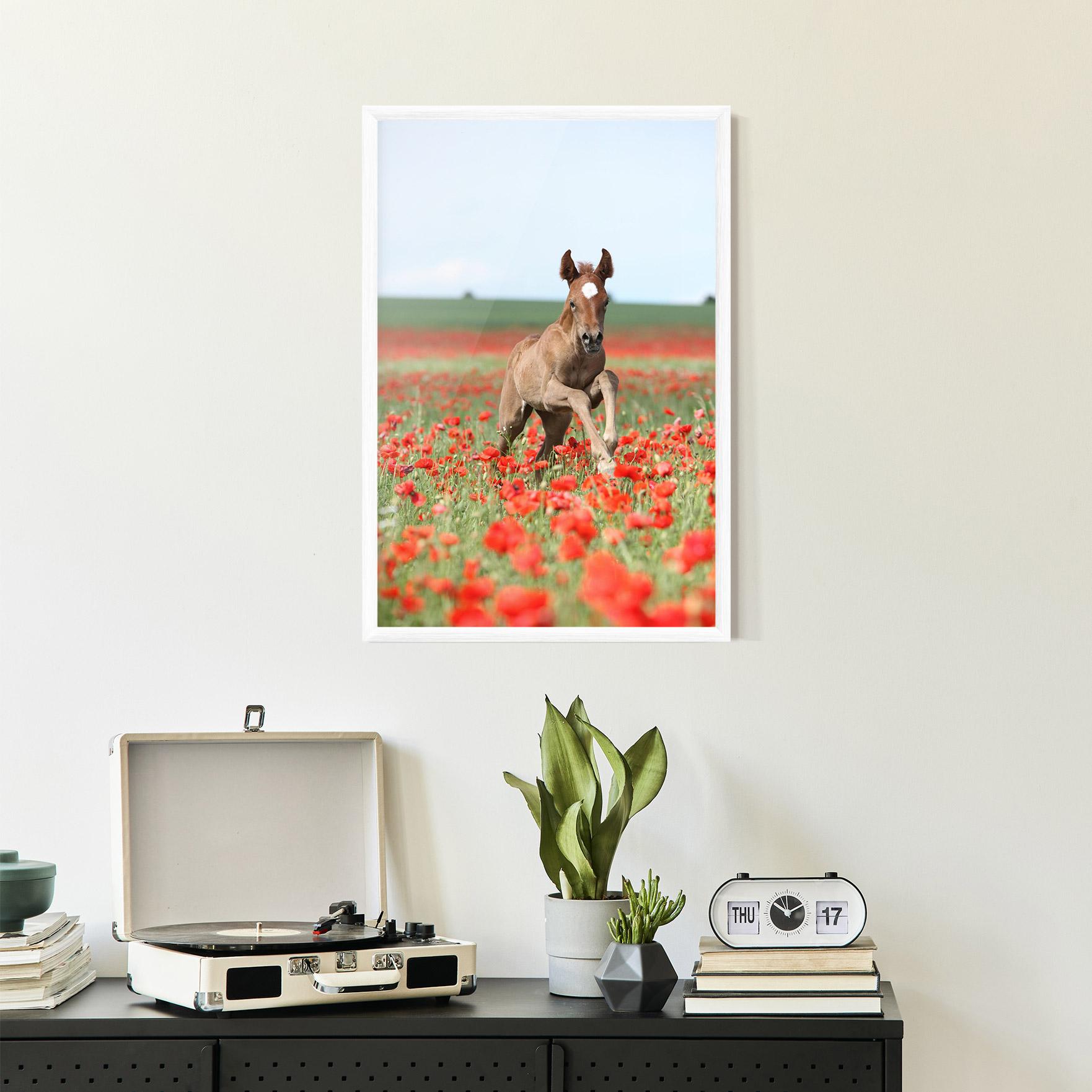 Рамкиран постер Red Flowers Horse mockup 2