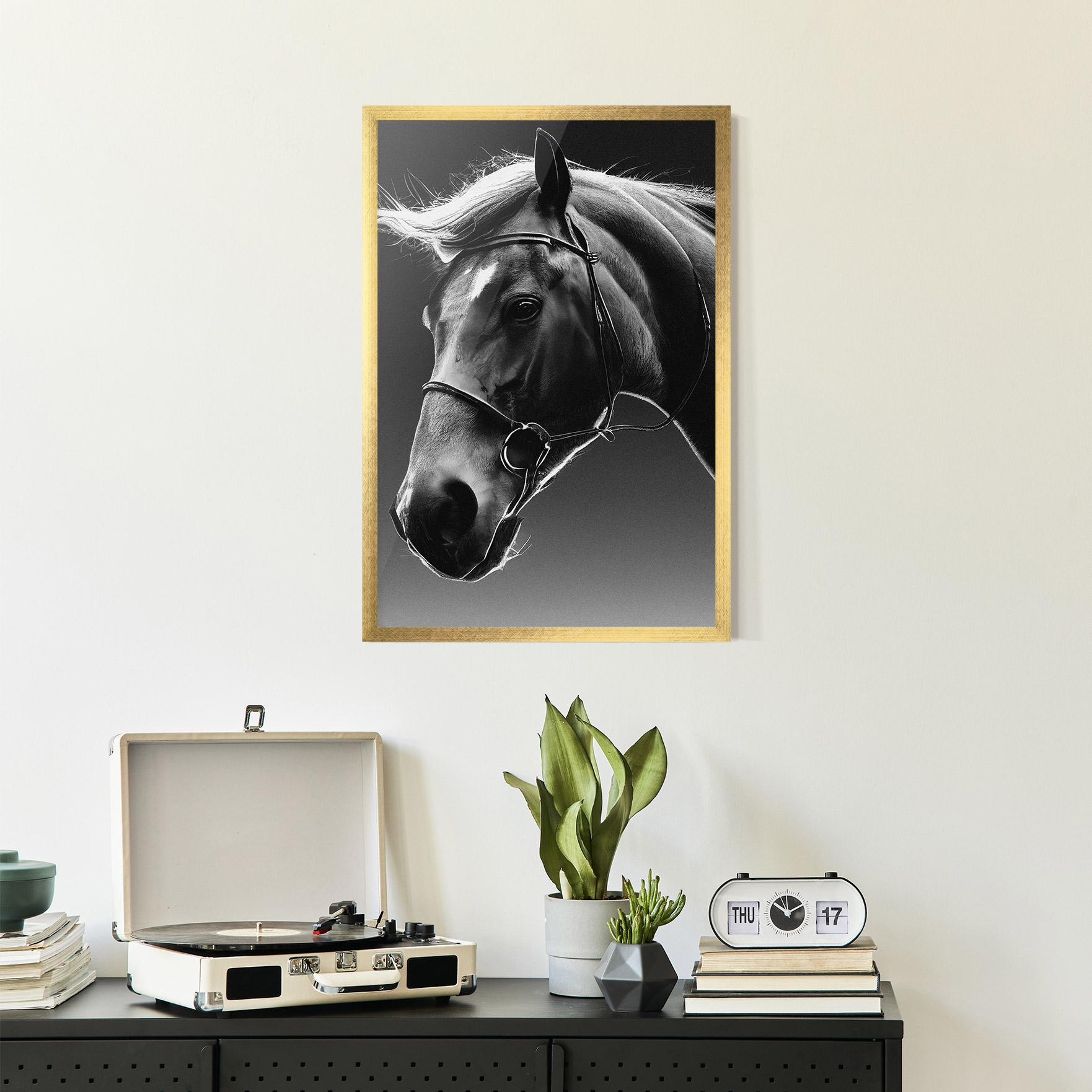Рамкиран постер Black Horse Profile mockup 2