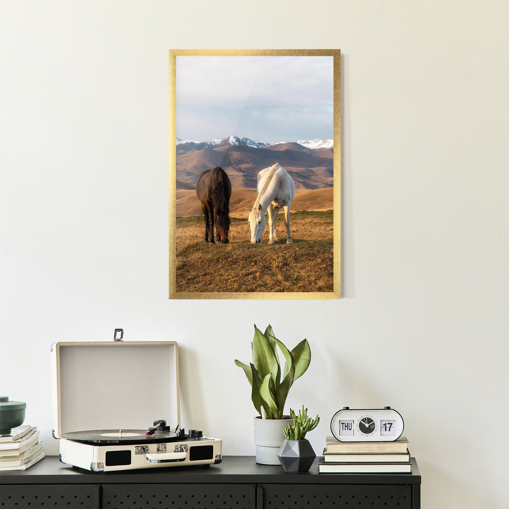 Mountain Horses mockup 2