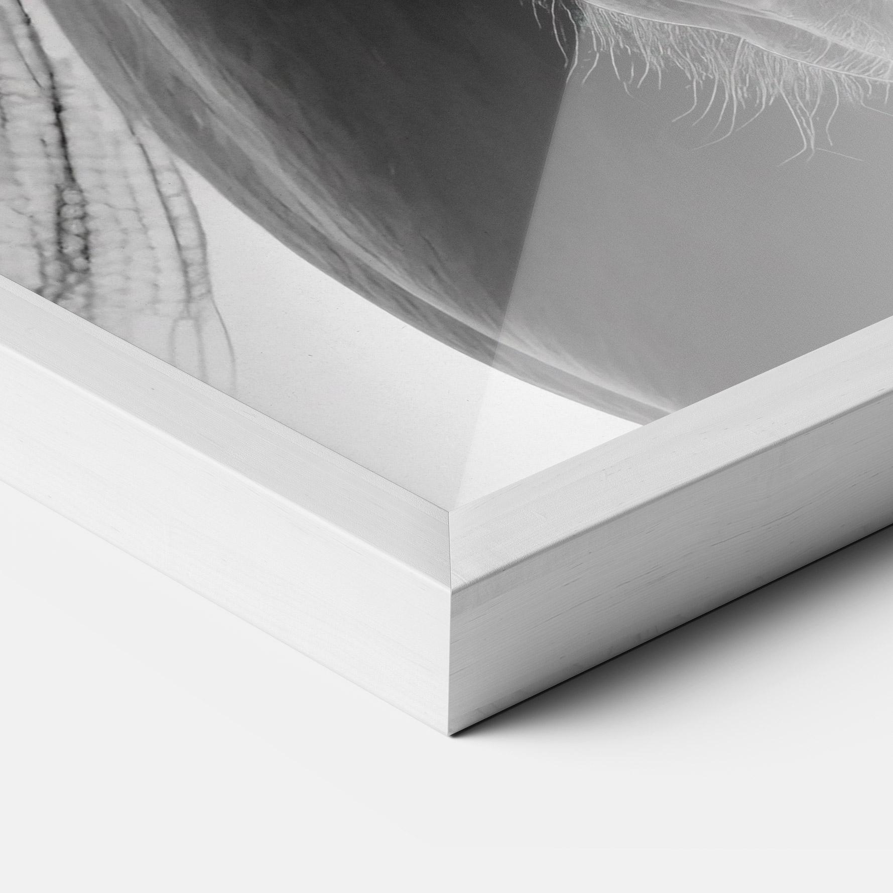 Рамкиран постер Close Up Horse mockup 3