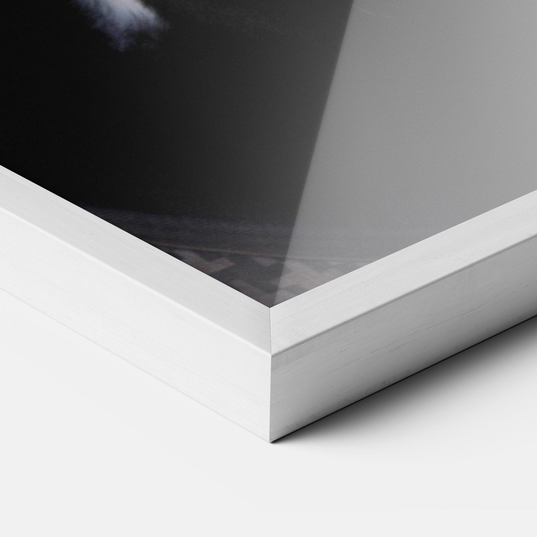 Рамкиран постер Horse Black Portrait mockup 3