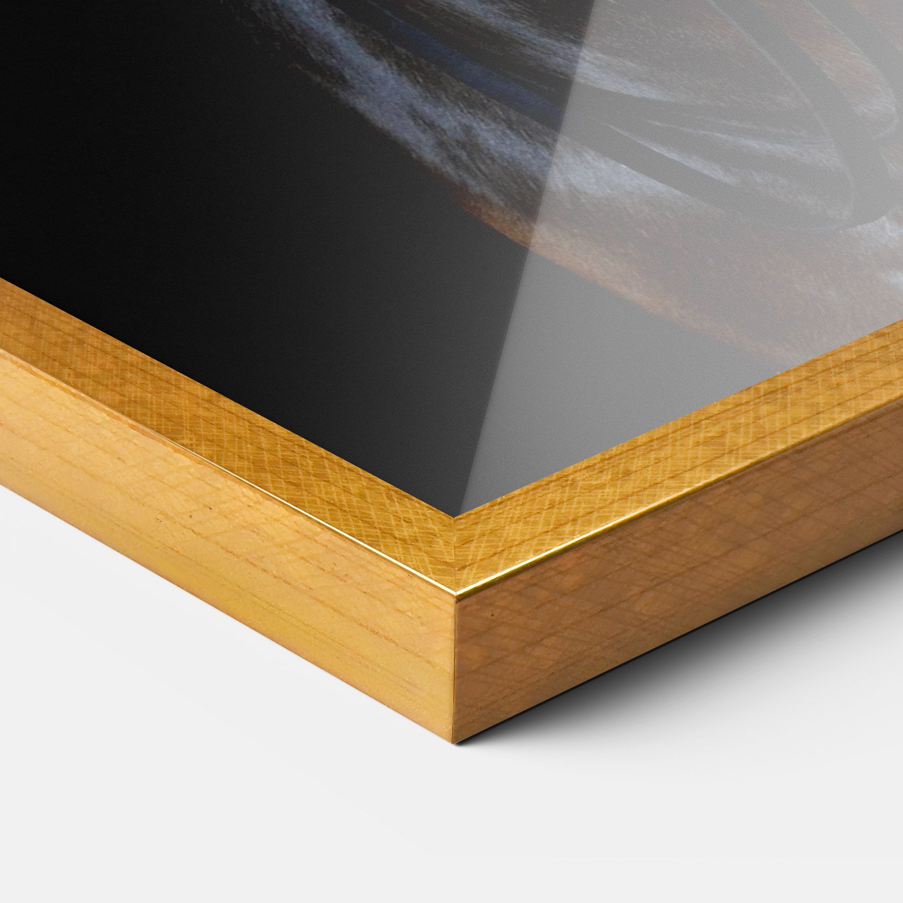 Brown Horse On Black mockup 3